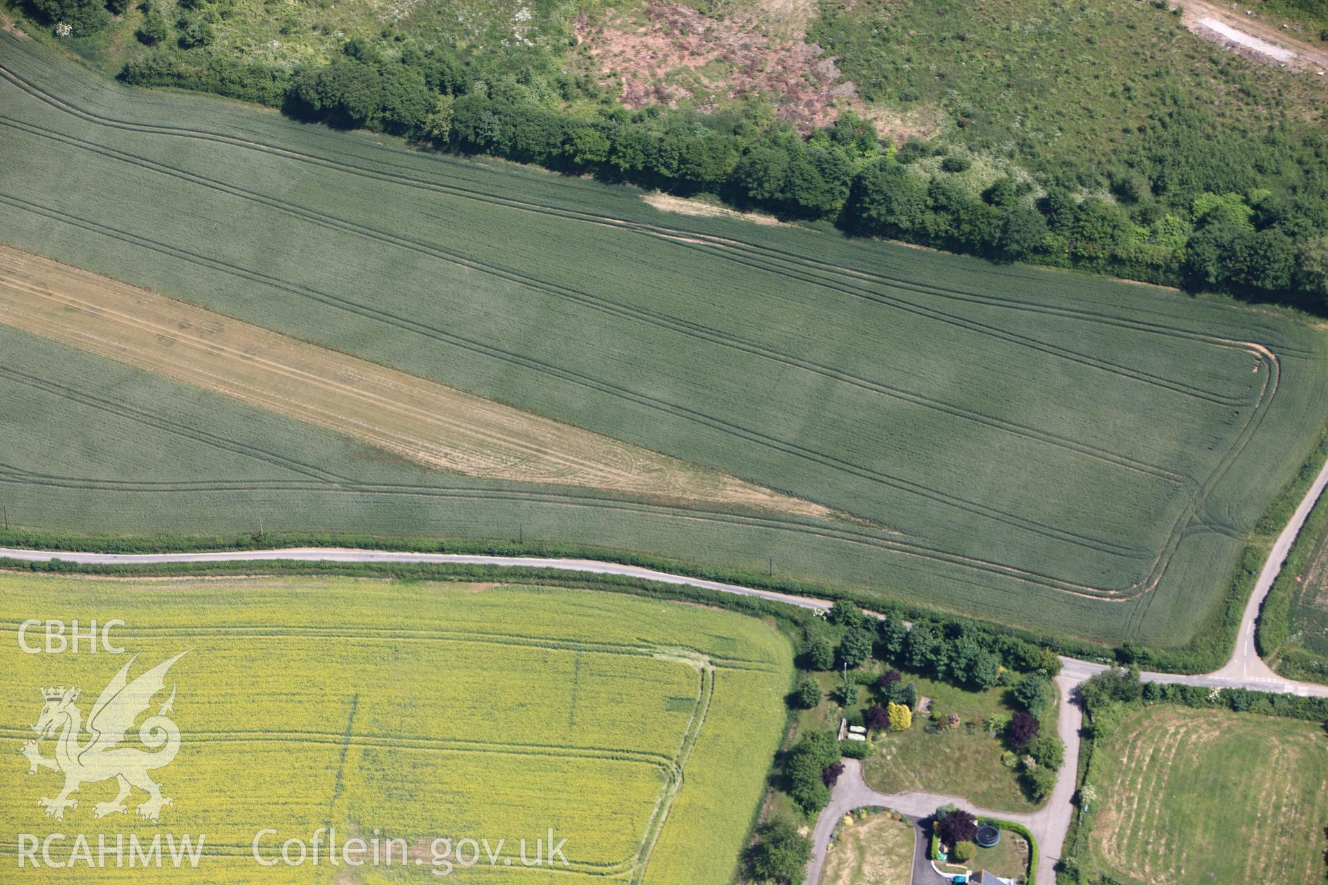 RCAHMW colour oblique photograph of Roman Enclosure cropmarks at The Hollies. Taken by Toby Driver on 21/06/2010.