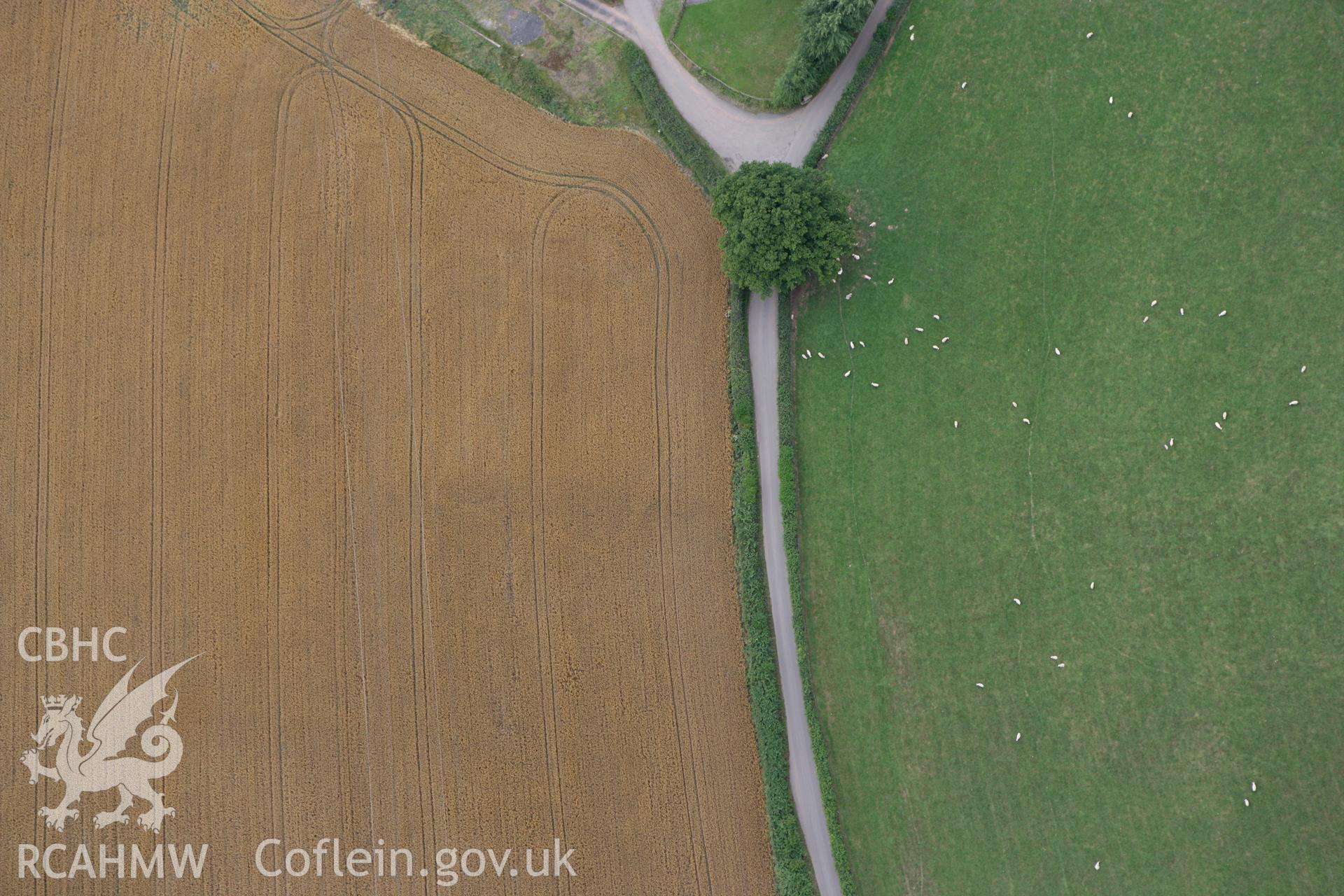 RCAHMW colour oblique photograph of rectangular cropmark enclosure, Pen-y-Parc Farm. Taken by Toby Driver on 29/07/2010.