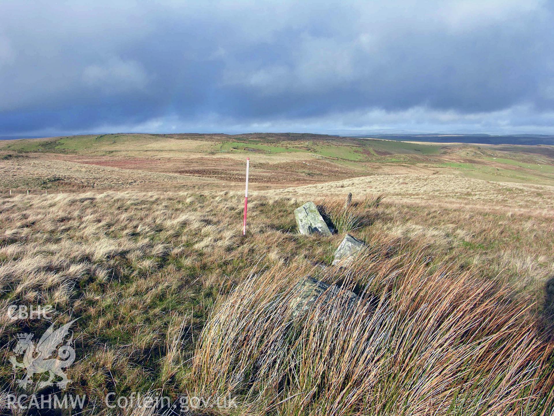 Colour digital photograph showing view along Mg 276, Lluest Uchaf Stone Row - part of archaeological desk based assessment for Esgair Cwmowen, Carno (CAP Report 549).