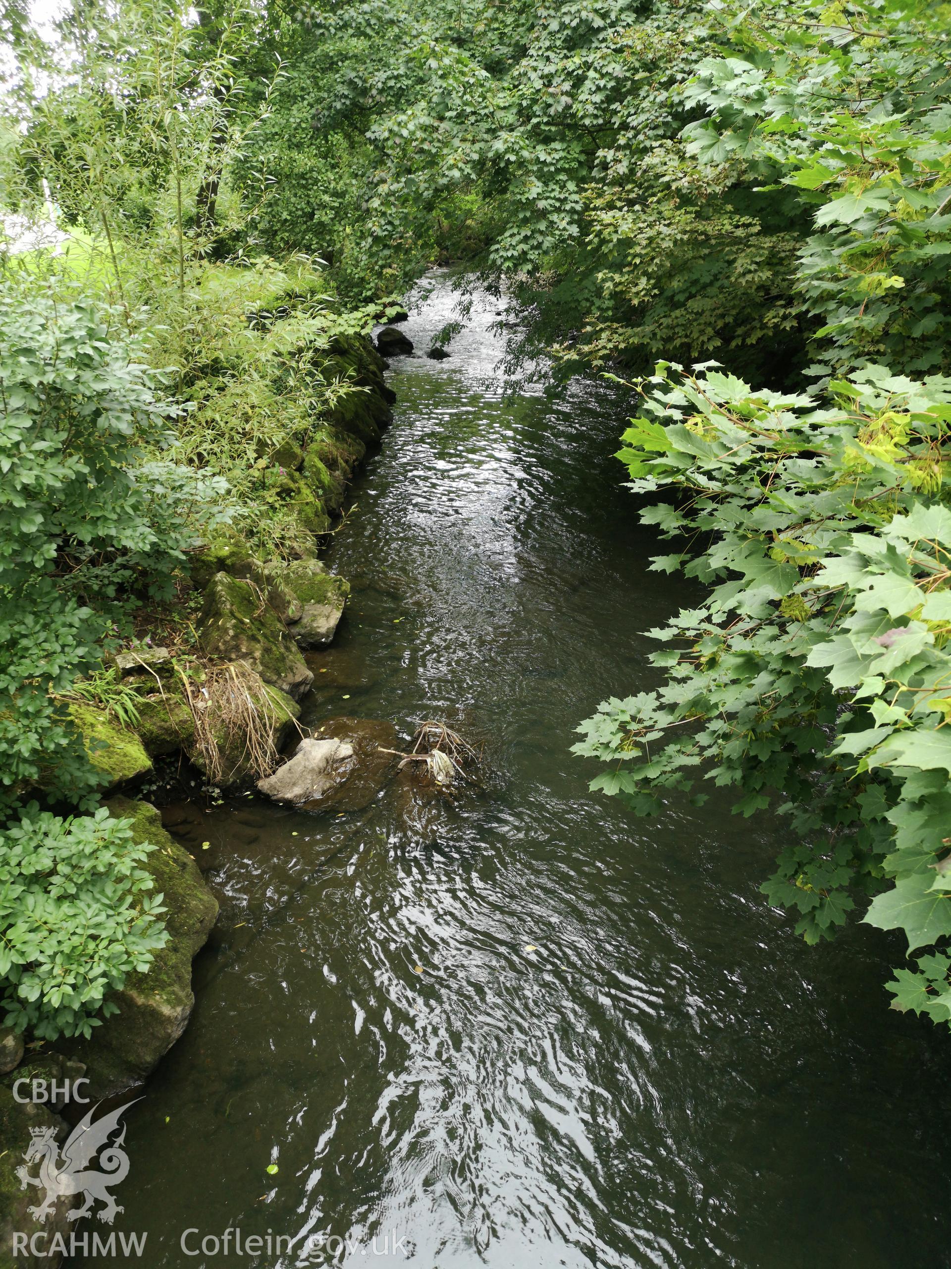 A stream at Cwmbran Park, photographed by Susan Fielding of RCAHMW on 12 September 2019.