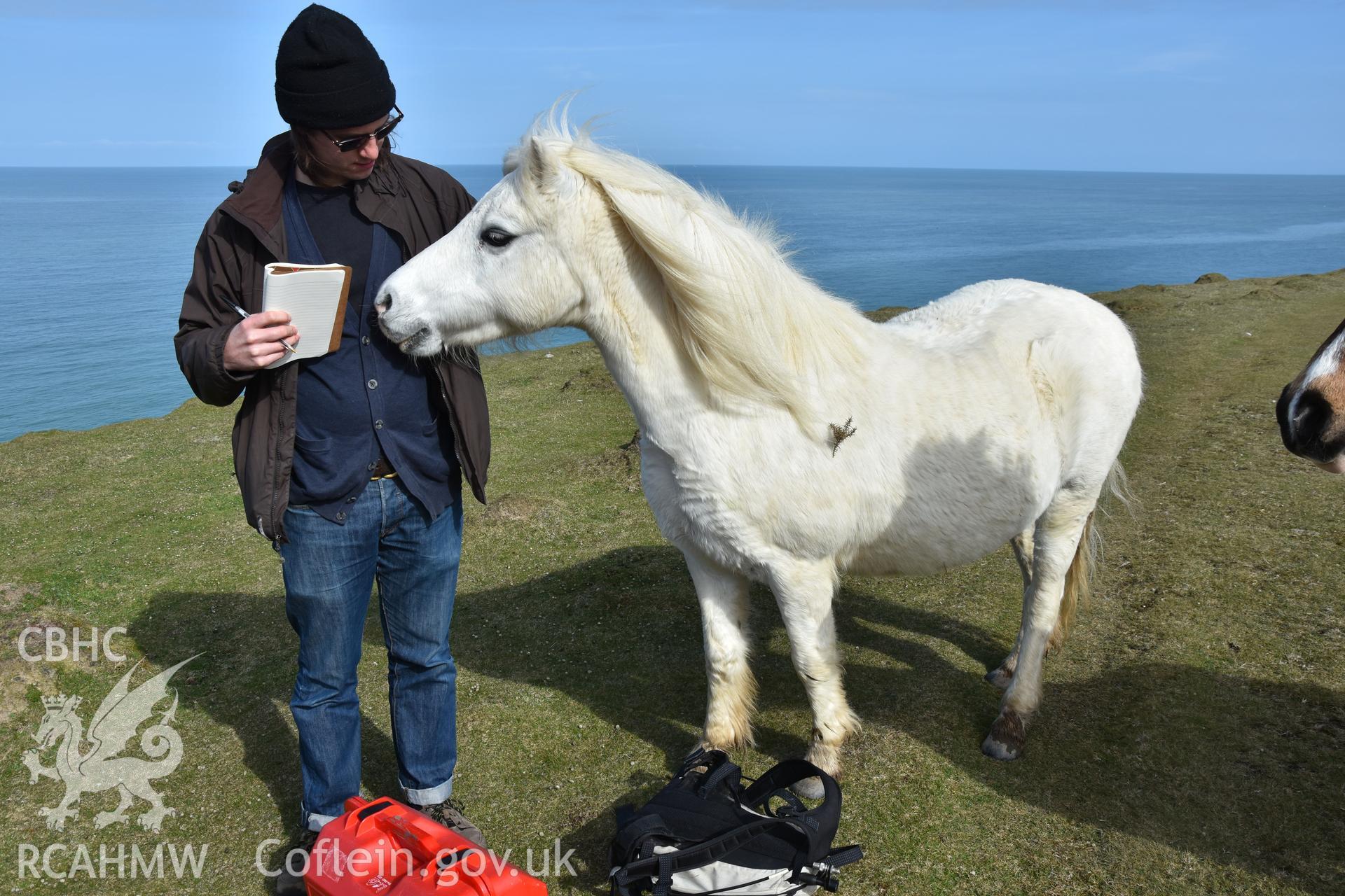 Survey staff and horse. From photographic survey of Castell Bach (NPRN 93914) by Dr Toby Driver for site monitoring 27/03/2019.
Produced with EU funds through the Ireland Wales Co-operation Programme 2014-2020. All material made freely available through the Open Government Licence.