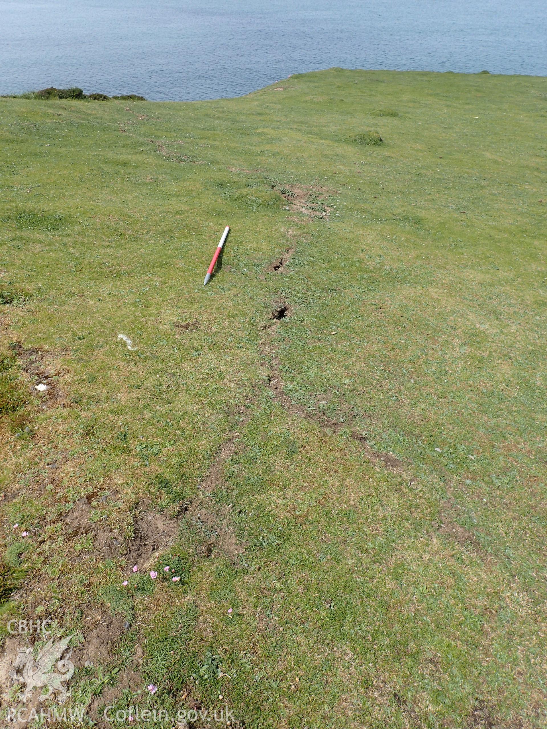 Crack or animal activity with scale. From photographic survey of Castell Bach promontory fort (NPRN 93914) by Daniel Hunt for CHERISH project condition monitoring 27/05/2021.
Produced with EU funds through the Ireland Wales Co-operation Programme 2014-2020. All material made freely available through the Open Government Licence.