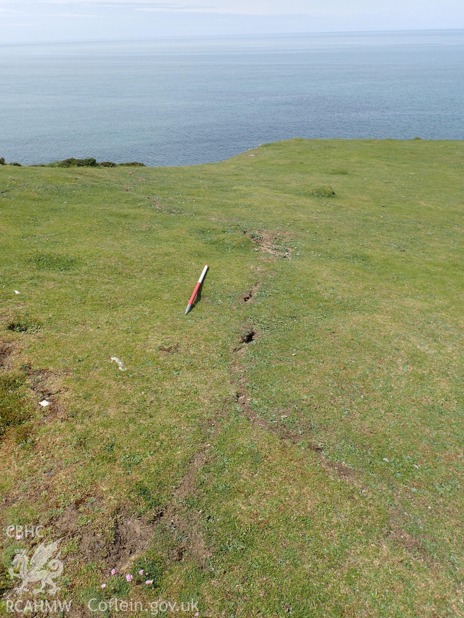 Crack or animal activity with scale. From photographic survey of Castell Bach promontory fort (NPRN 93914) by Daniel Hunt for CHERISH project condition monitoring 27/05/2021.
Produced with EU funds through the Ireland Wales Co-operation Programme 2014-2020. All material made freely available through the Open Government Licence.