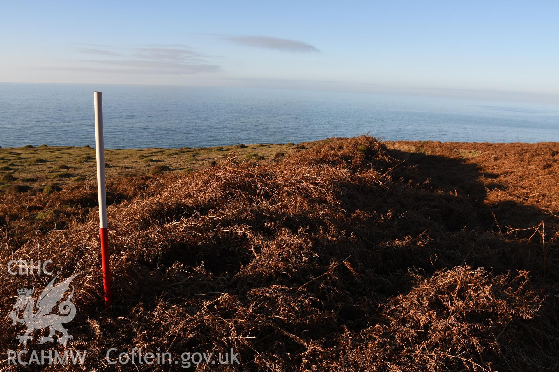 Bracken covered outer rampart, 1m scale. Camera facing N. Photographic survey of Castell Bach promontory fort (NPRN 93914) using 1m scales and human figures. Undertaken by Hannah Genders Boyd for CHERISH project condition monitoring 13/01/2022.
Produced with EU funds through the Ireland Wales Co-operation Programme 2014-2020. All material made freely available through the Open Government Licence.