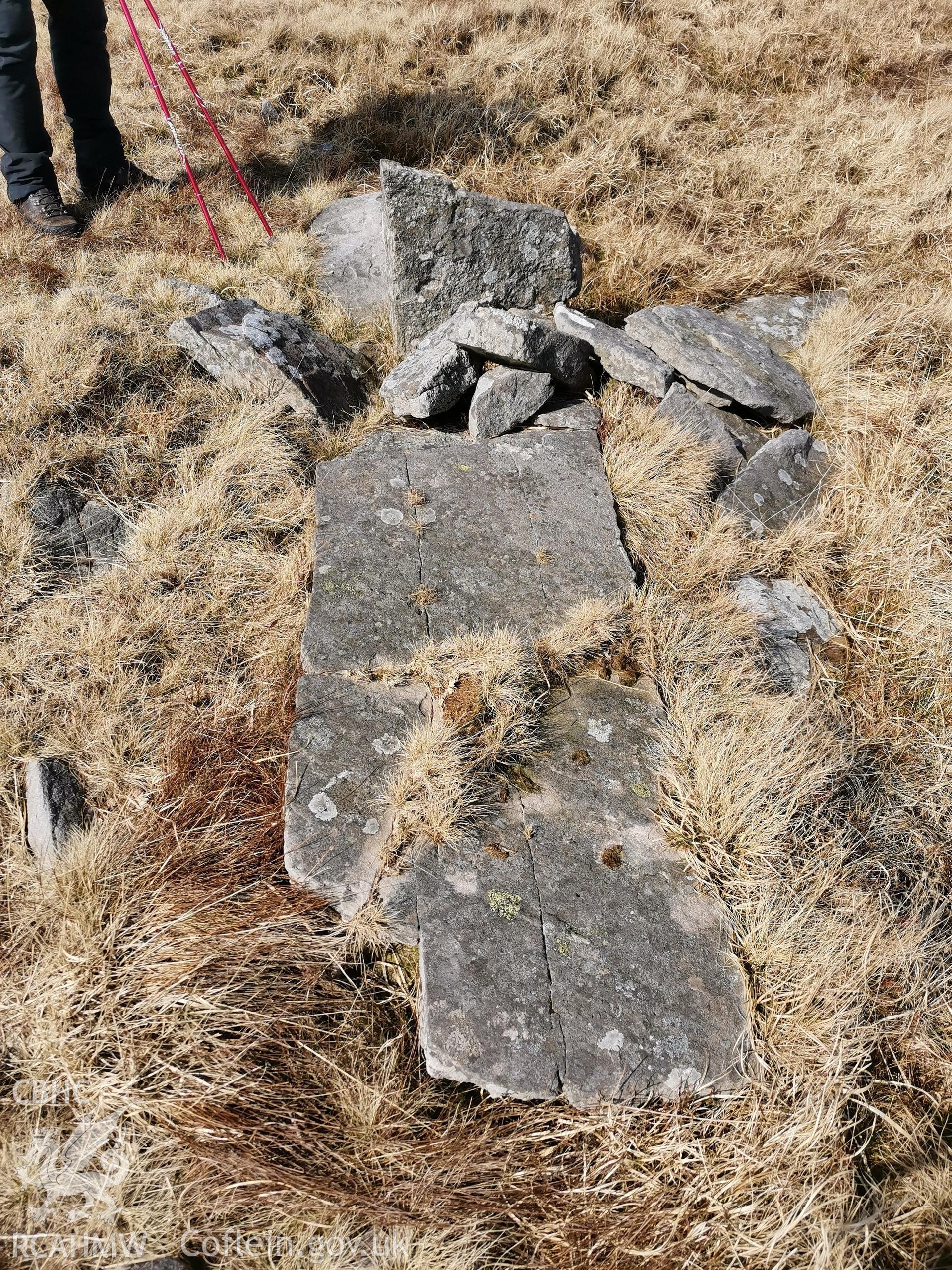 Photograph showing broken standing stone north of Nant y Coetgae cottage, taken March 2022.