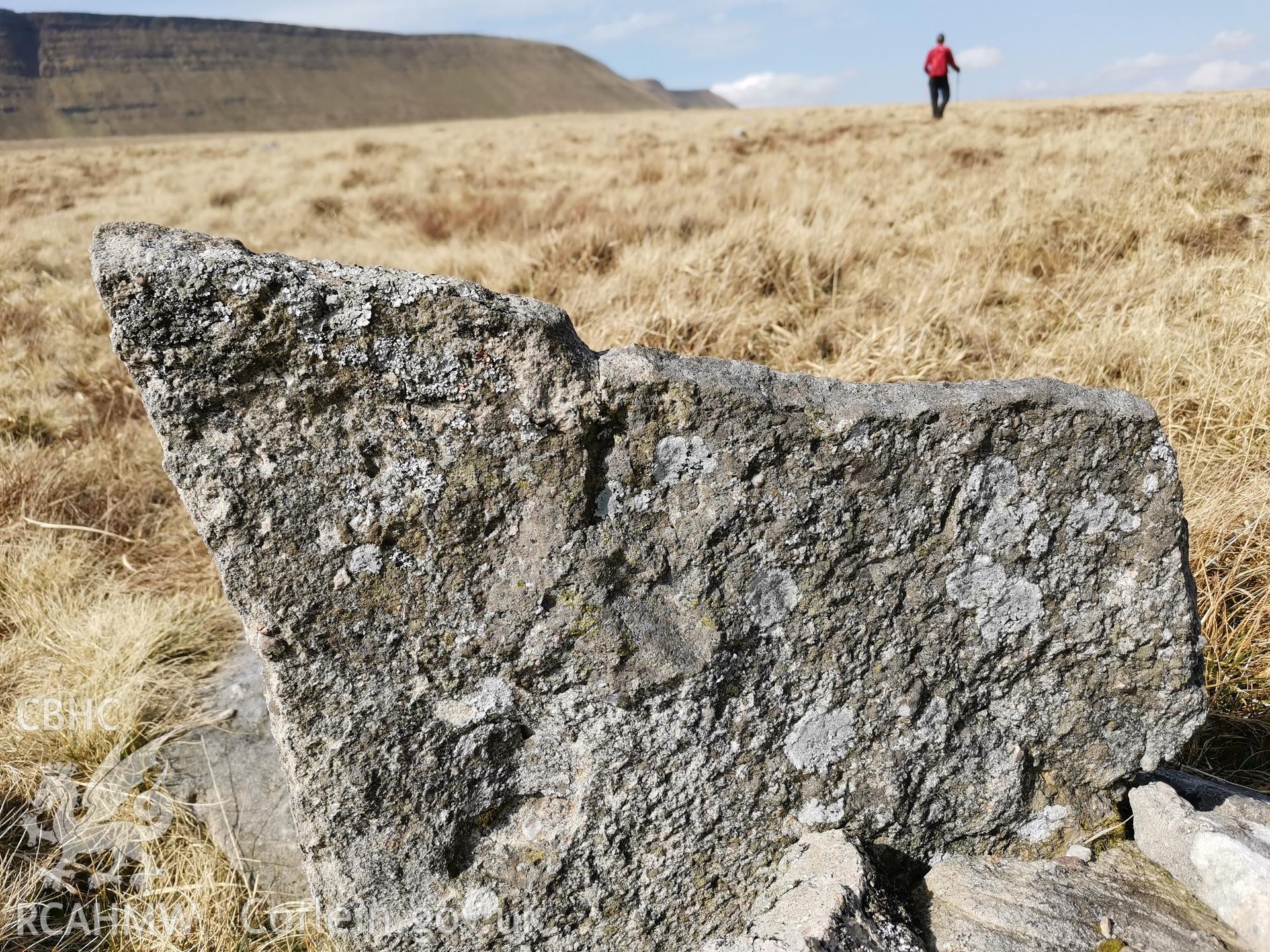 Photograph showing broken standing stone north of Nant y Coetgae cottage, taken March 2022.