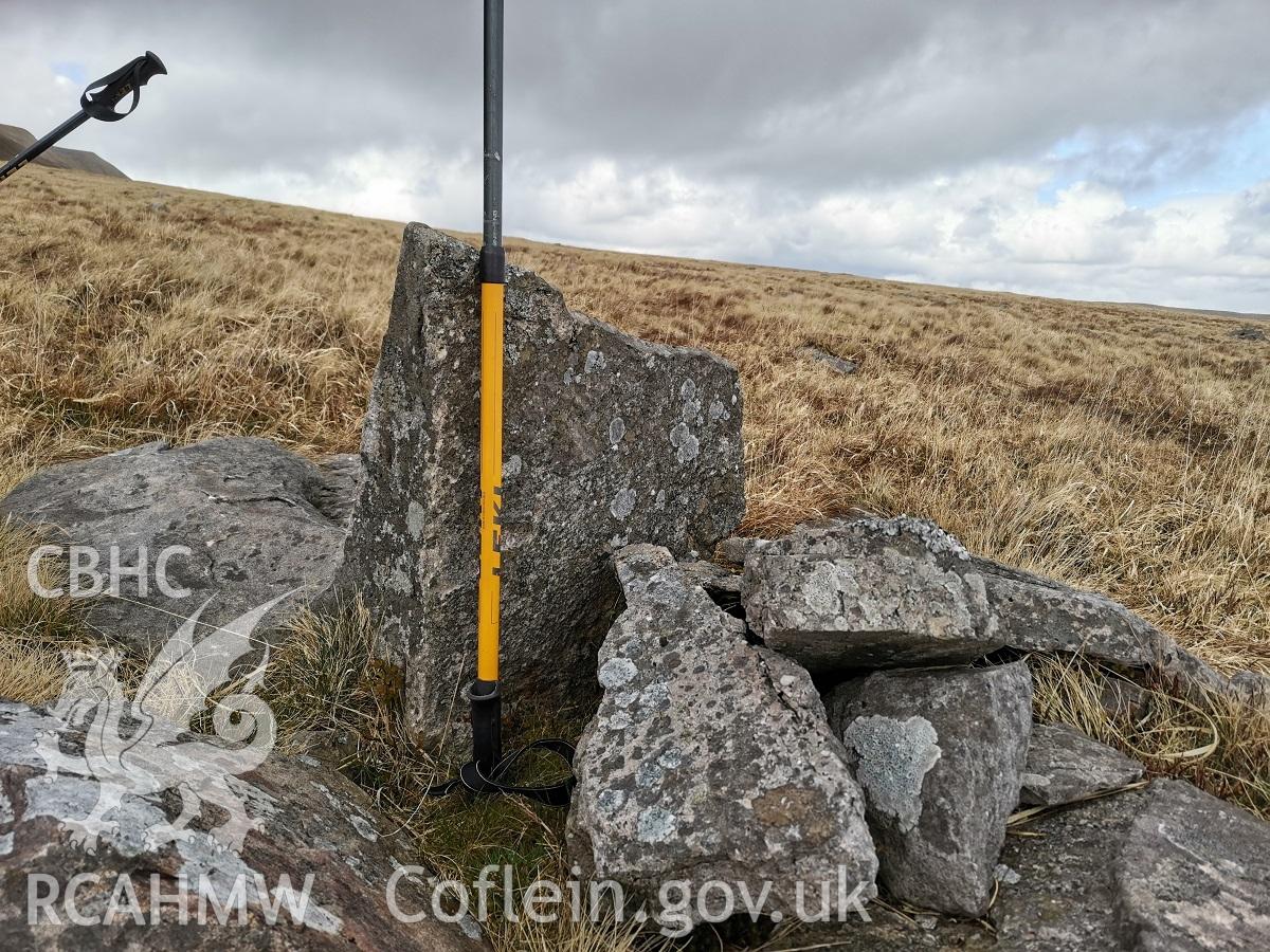 Photograph showing broken standing stone north of Nant y Coetgae cottage, taken March 2022.