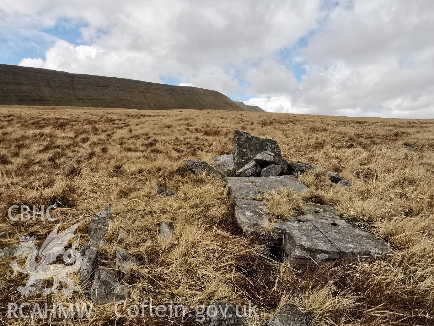 Photograph showing broken standing stone north of Nant y Coetgae cottage, taken March 2022.