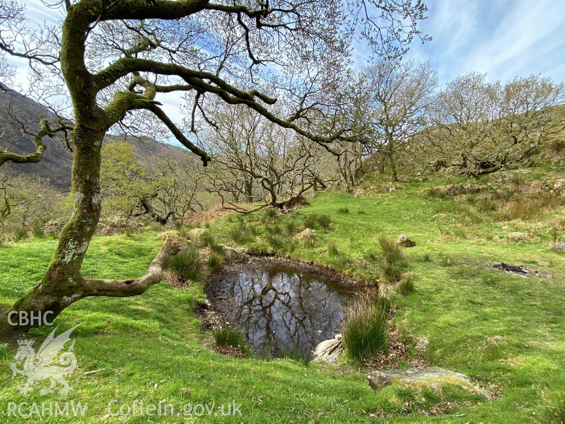 Digital colour photograph showing Dinas Emrys (pool), produced by Paul R Davis in 2021.