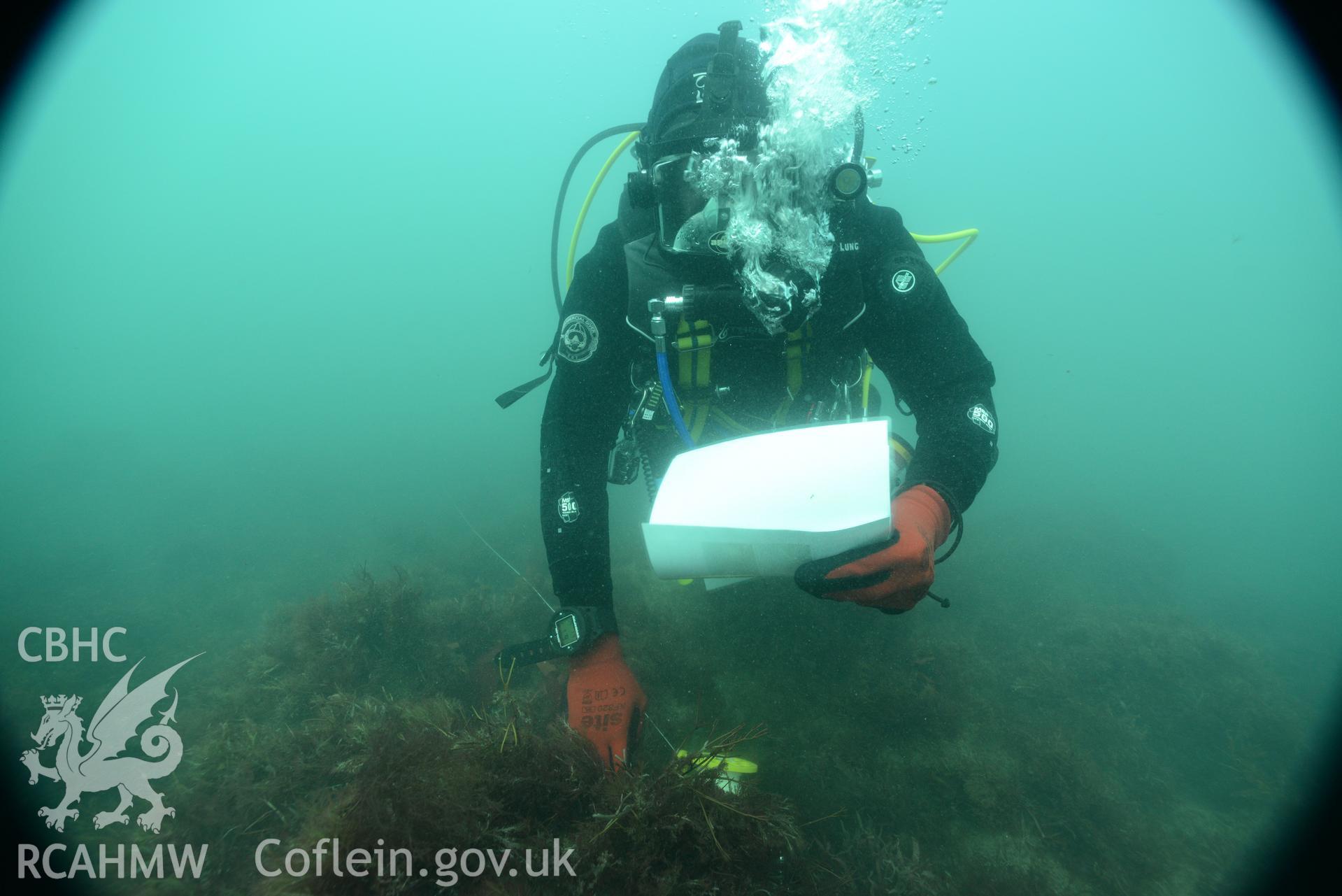 Diver working on survey of the Bronze Bell wreck, Tal-y-Bont. Undertaken by MSDS Marine on behalf of RCAHMW, through the EU Funded CHERISH Project.
