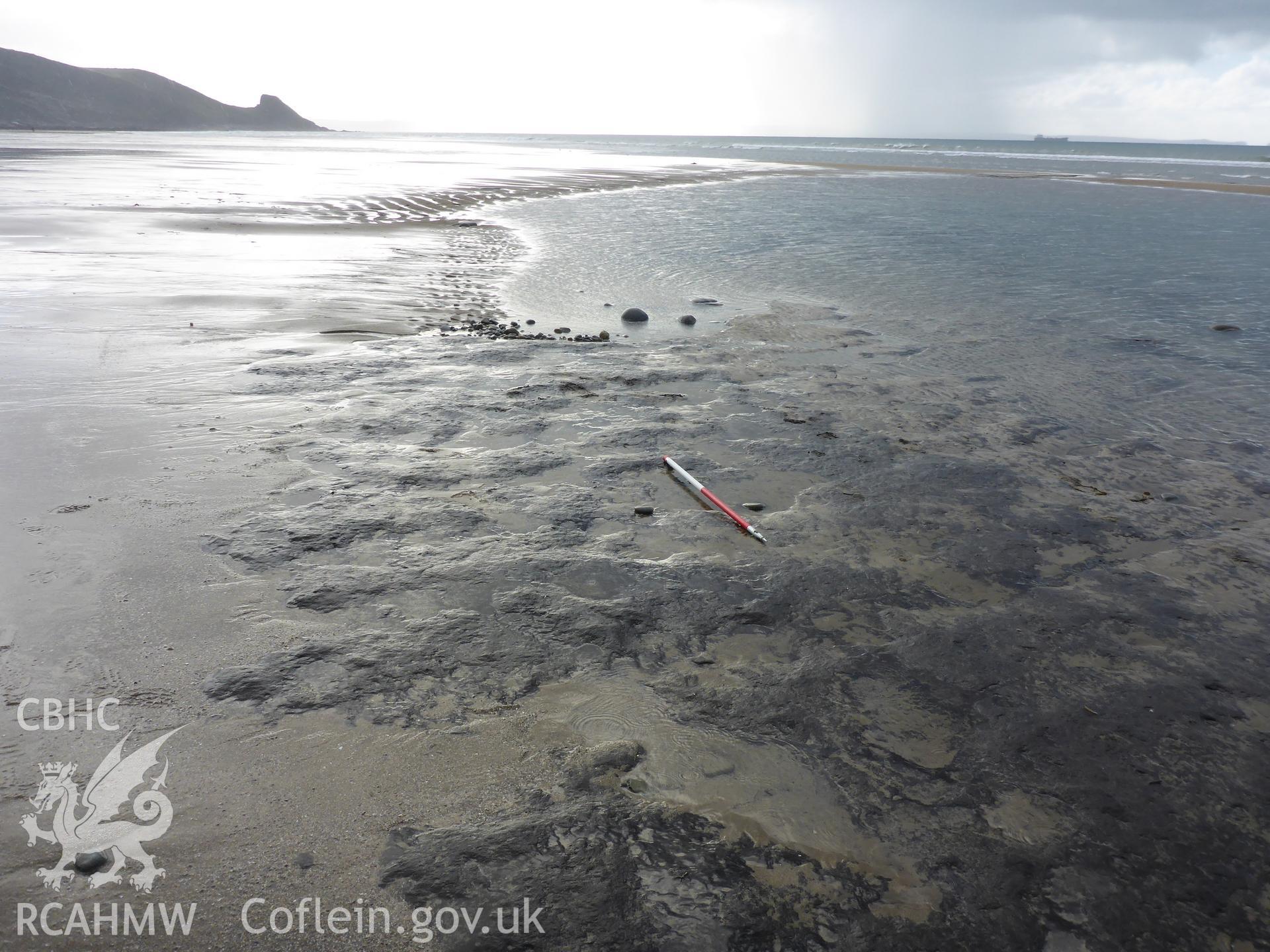Peat exposure at the southern end of Newgale Beach. View looking south.