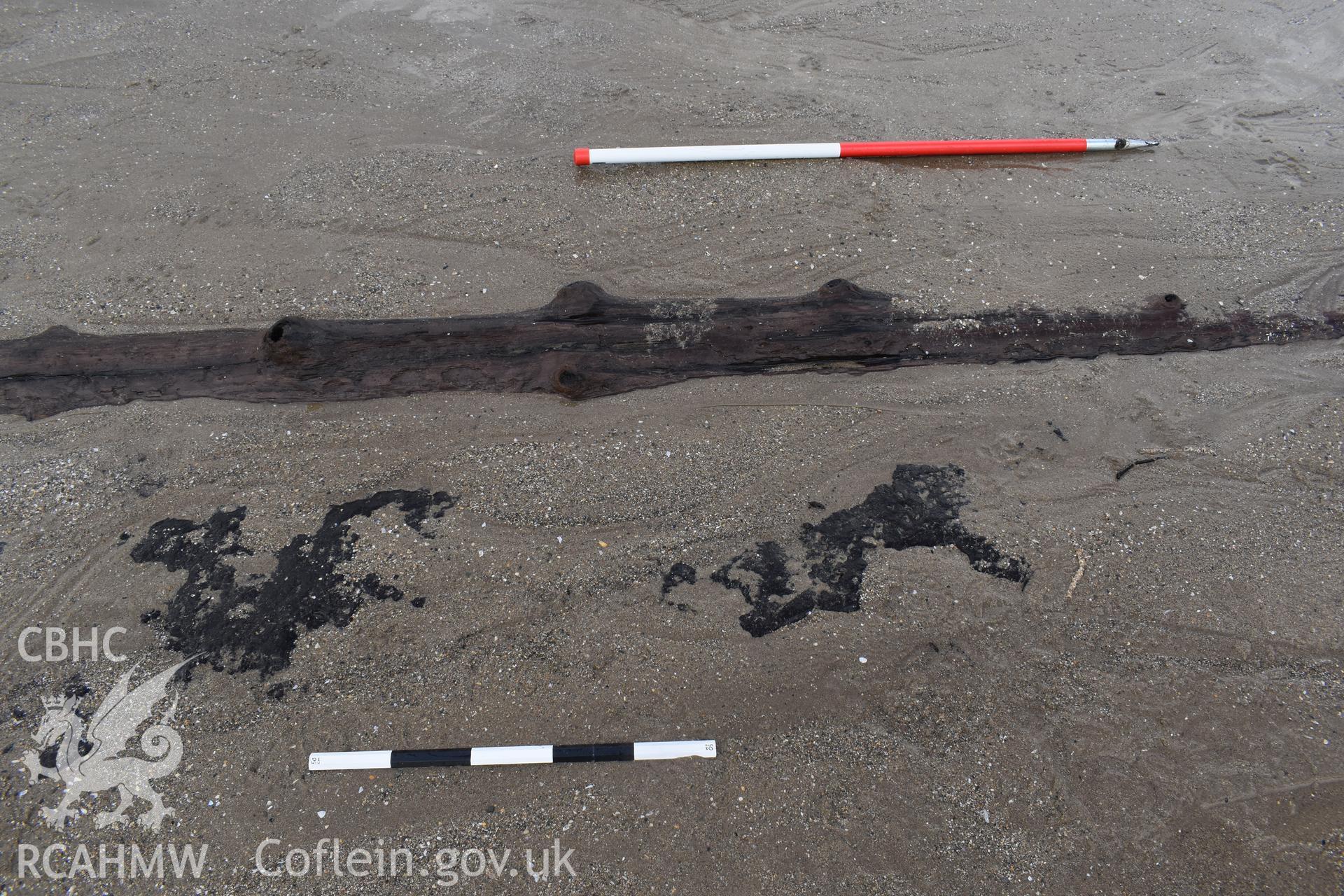 Detail of exposed tree and adjacent peat at the southern end of Newgale Beach. Scale = 1m (Red/White), 50cm (Black/White).