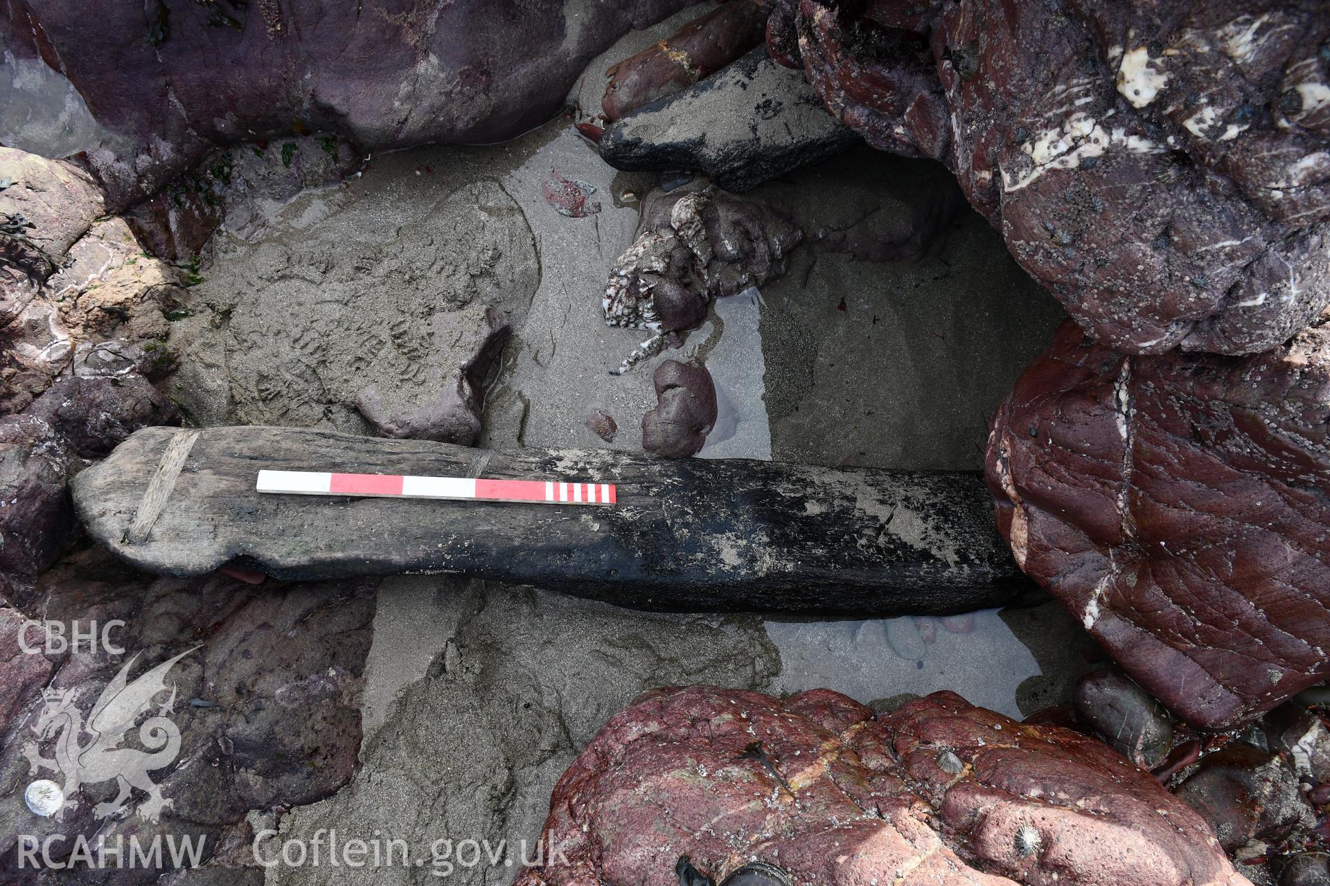 Timber from the wreck. 0.5m scale. Taken by Hannah Genders Boyd. Produced with EU funds through the Ireland Wales Co-operation Programme 2014-2023. All material made freely available through the Open Government Licence.