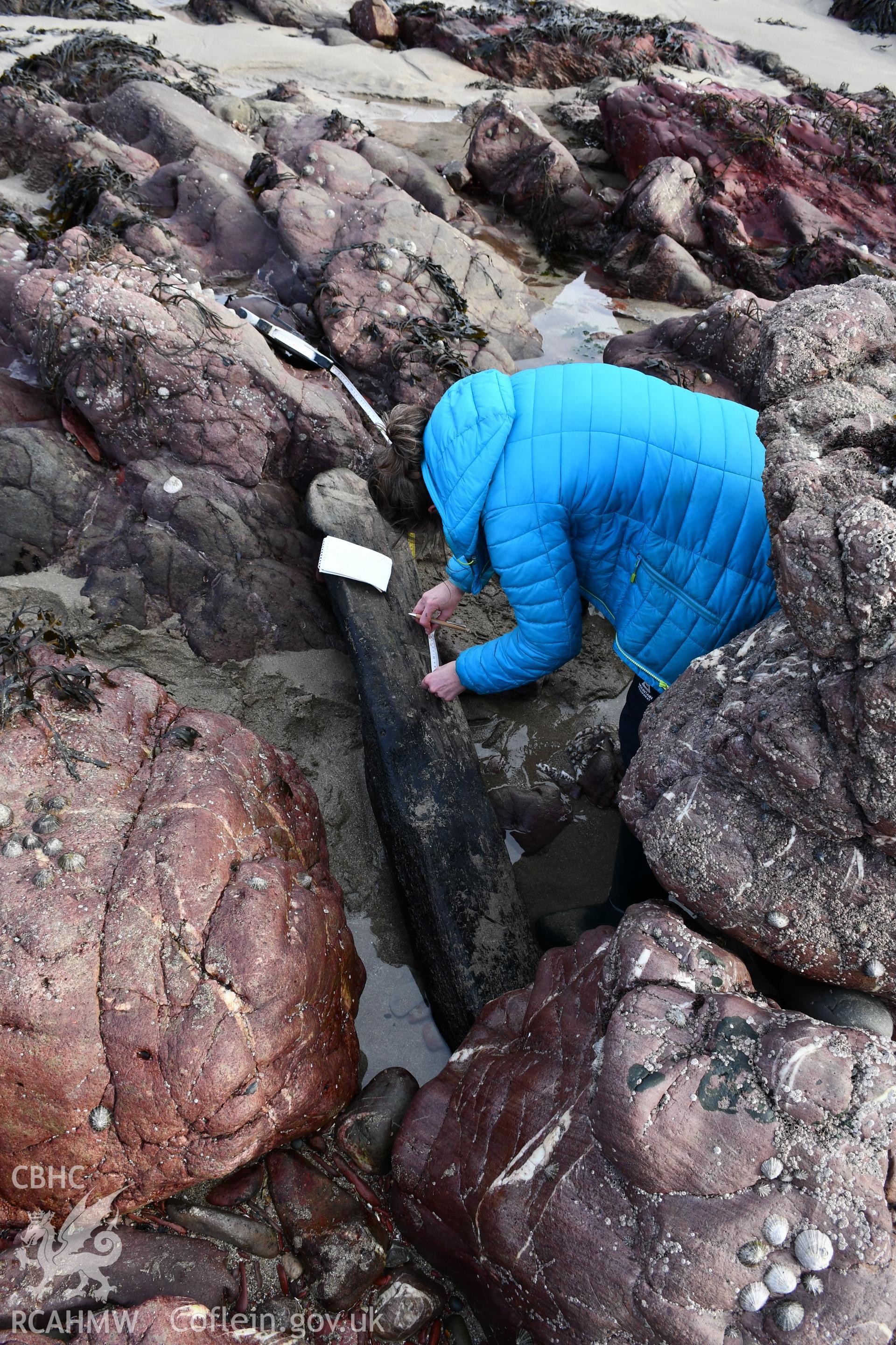 CHERISH team measuring and recording a timber from the wreck of the Albion. Taken by Hannah Genders Boyd. Produced with EU funds through the Ireland Wales Co-operation Programme 2014-2023. All material made freely available through the Open Government Lic