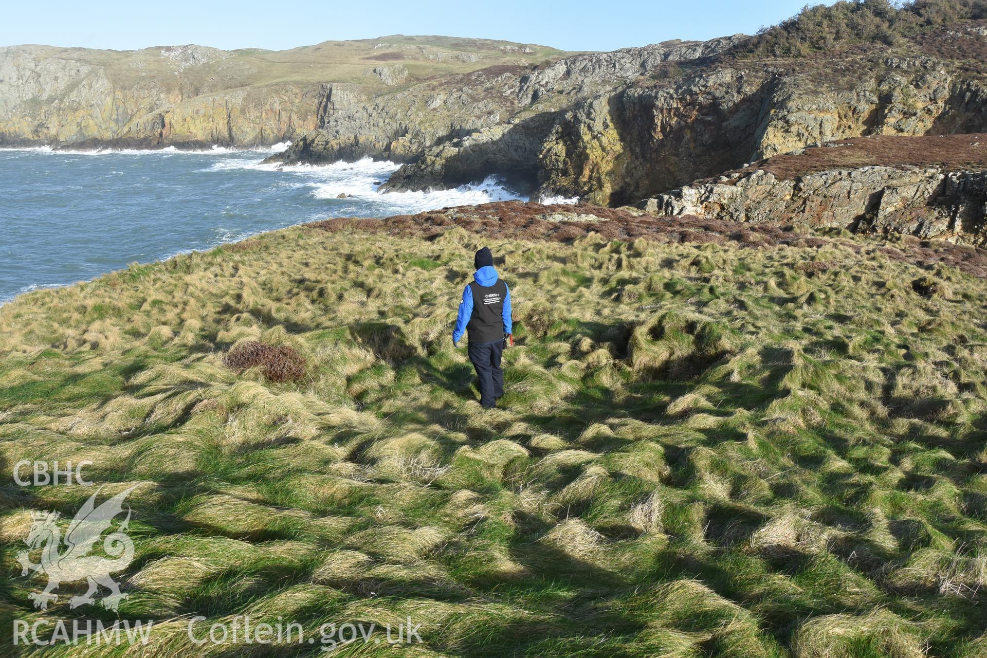 Ynys y Fydlym Hut Circle with figure for scale. Taken by Lou Barker. Produced with EU funds through the Ireland Wales Co-operation Programme 2014-2023. All material made freely available through the Open Government Licence.