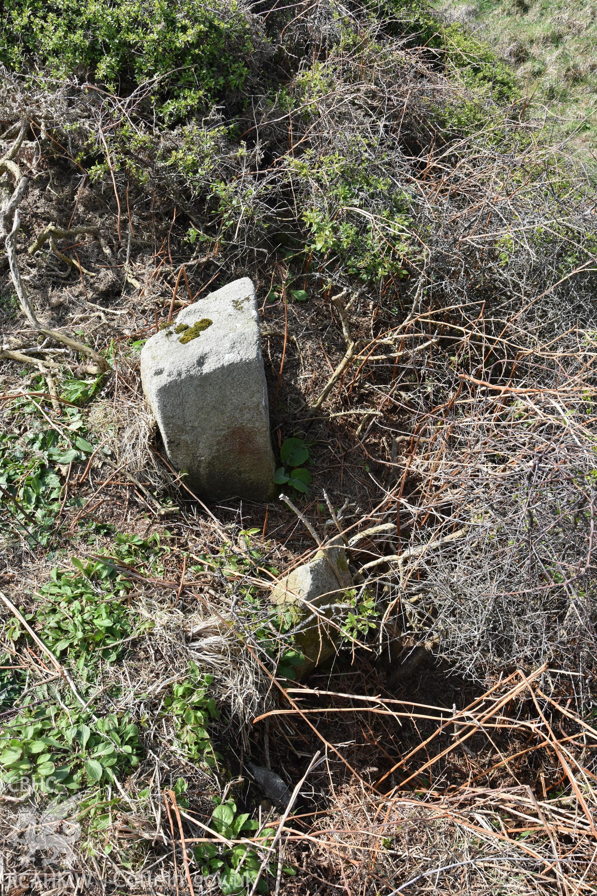Stone near inner rampart Taken by Dr Toby Driver. Produced with EU funds through the Ireland Wales Co-operation Programme 2014-2023. All material made freely available through the Open Government Licence.