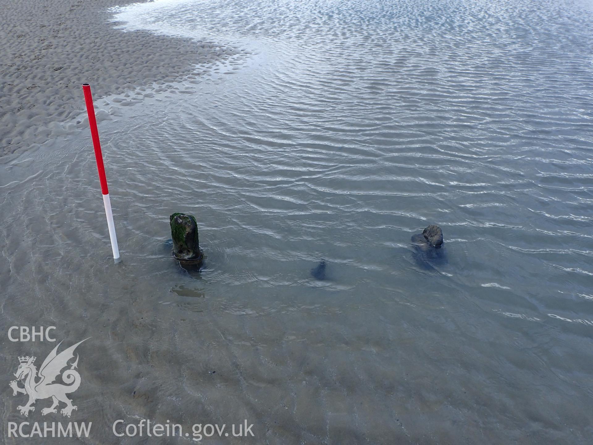 Close up of exposed wood at Morfa Dinlle with 1m scale. Photograph taken by Toby Driver in November 2017 as part of repeat monitoring and survey by the CHERISH project. © Crown: CHERISH PROJECT 2017. Produced with EU funds through the Ireland Wales Co-operation Programme 2014-2023. All material made freely available through the Open Government Licence.