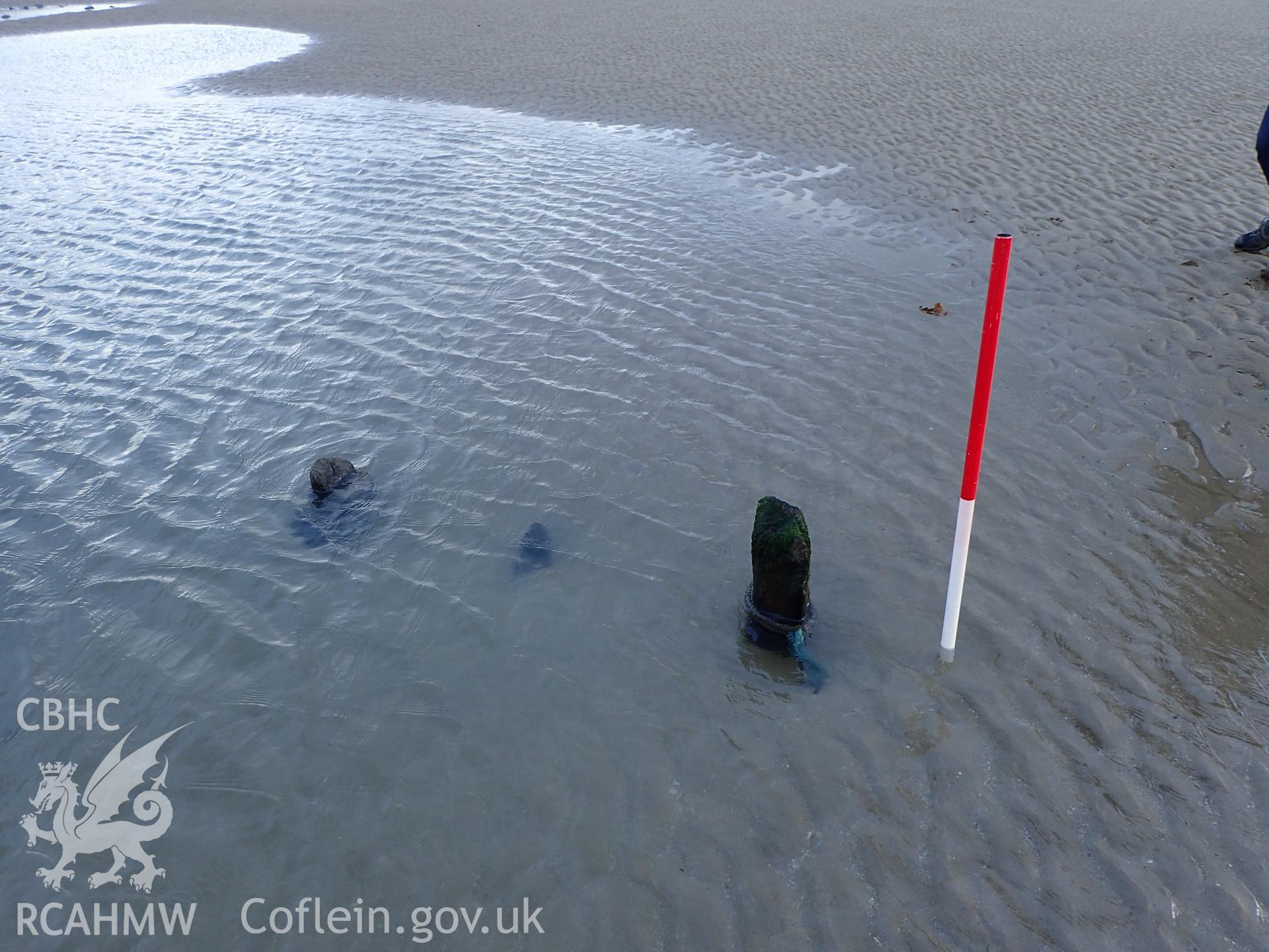 Close up of exposed wood at Morfa Dinlle with 1m scale. Photograph taken by Toby Driver in November 2017 as part of repeat monitoring and survey by the CHERISH project. © Crown: CHERISH PROJECT 2017. Produced with EU funds through the Ireland Wales Co-operation Programme 2014-2023. All material made freely available through the Open Government Licence.