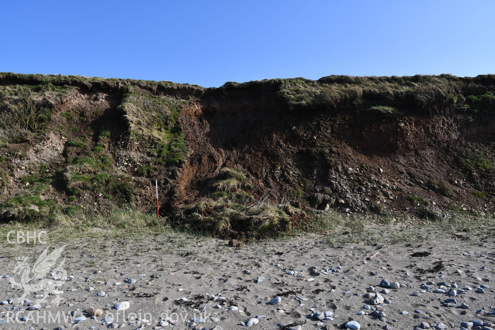 Wide shot showing newly exposed area of the cliff face following a collapse of sediment. 2m scale. Taken by Toby Driver. Produced with EU funds through the Ireland Wales Co-operation Programme 2014-2023. All material made freely available through the Open