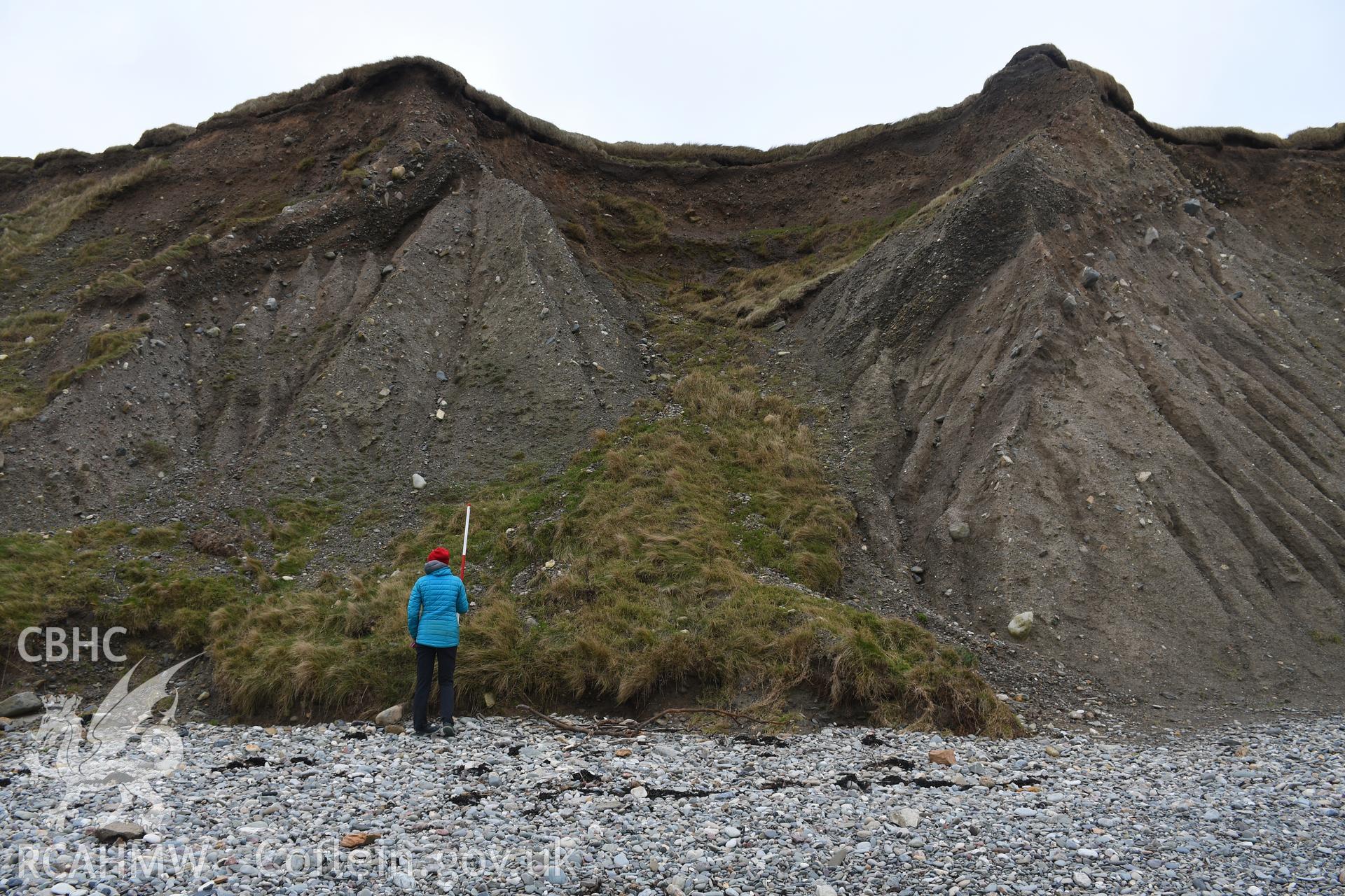 Movement of sediments and stabilisation of turf on eroding cliff face. Figure and 2m scale. Taken by Hannah Genders Boyd. Produced with EU funds through the Ireland Wales Co-operation Programme 2014-2023. All material made freely available through the Ope