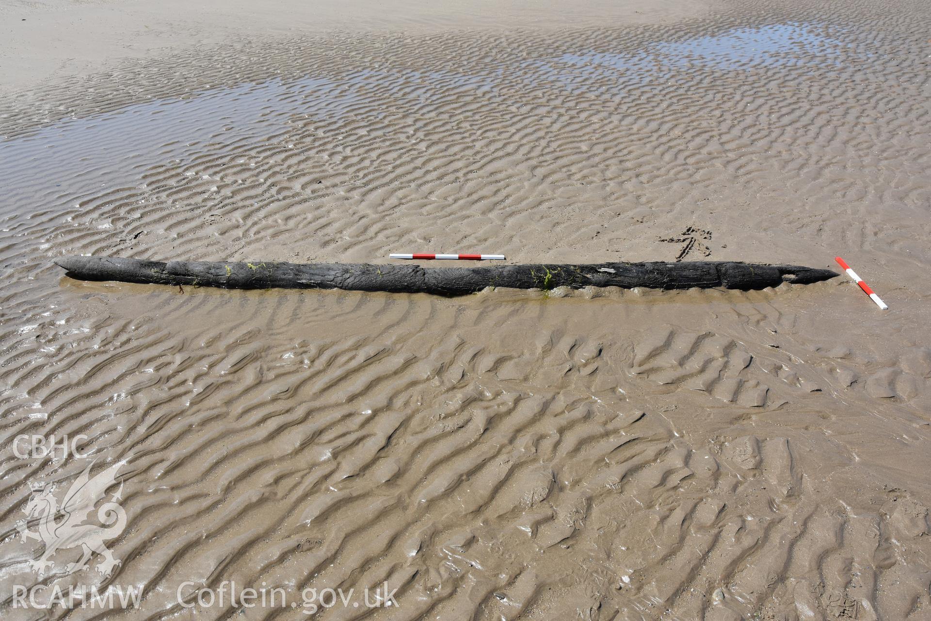 Wood on beach at Dinas Dinlle photographed with 2 x 0.5m scales and north arrow. Photograph taken by Daniel Hunt in June 2018 as part of repeat monitoring and survey by the CHERISH project. © Crown: CHERISH PROJECT 2018 Produced with EU funds through the Ireland Wales Co-operation Programme 2014-2023. All material made freely available through the Open Government Licence.