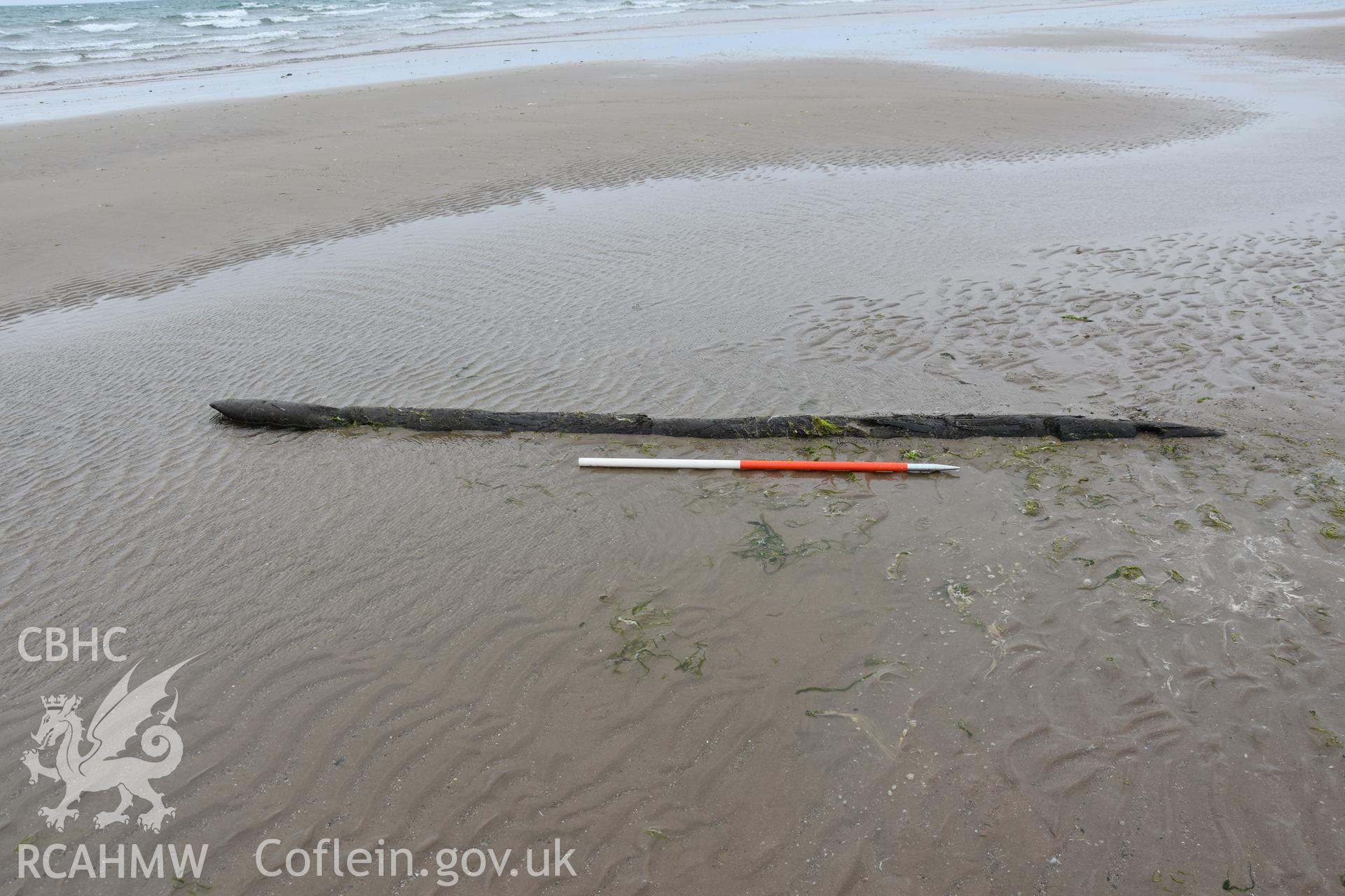 Wood on beach at Dinas Dinlle photographed with 1m scale. Photograph taken by Daniel Hunt in June 2018 as part of repeat monitoring and survey by the CHERISH project. © Crown: CHERISH PROJECT 2018 Produced with EU funds through the Ireland Wales Co-operation Programme 2014-2023. All material made freely available through the Open Government Licence.