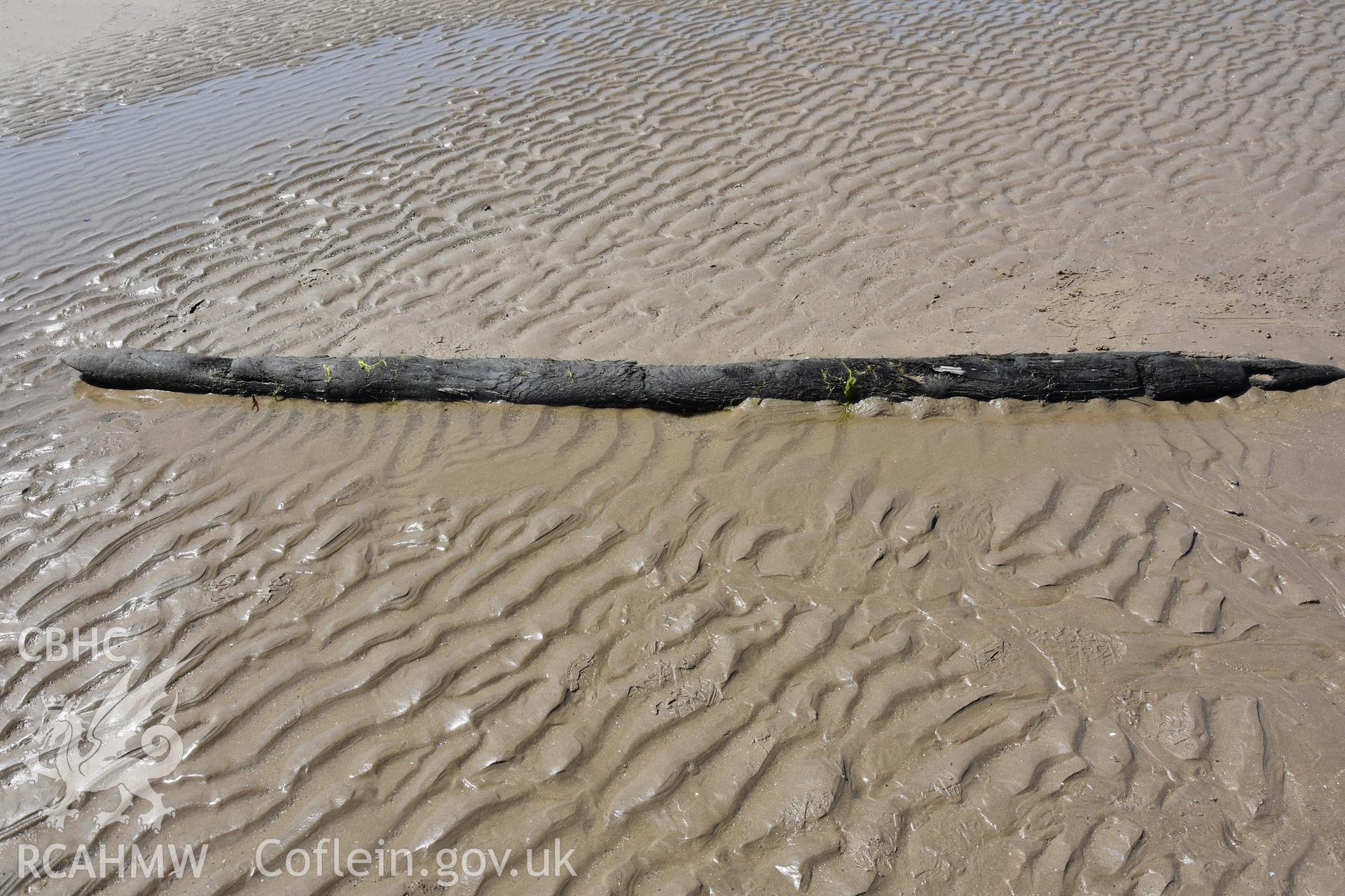 Wood on beach at Dinas Dinlle photographed with no scale. Photograph taken by Daniel Hunt in June 2018 as part of repeat monitoring and survey by the CHERISH project. © Crown: CHERISH PROJECT 2018 Produced with EU funds through the Ireland Wales Co-operation Programme 2014-2023. All material made freely available through the Open Government Licence.