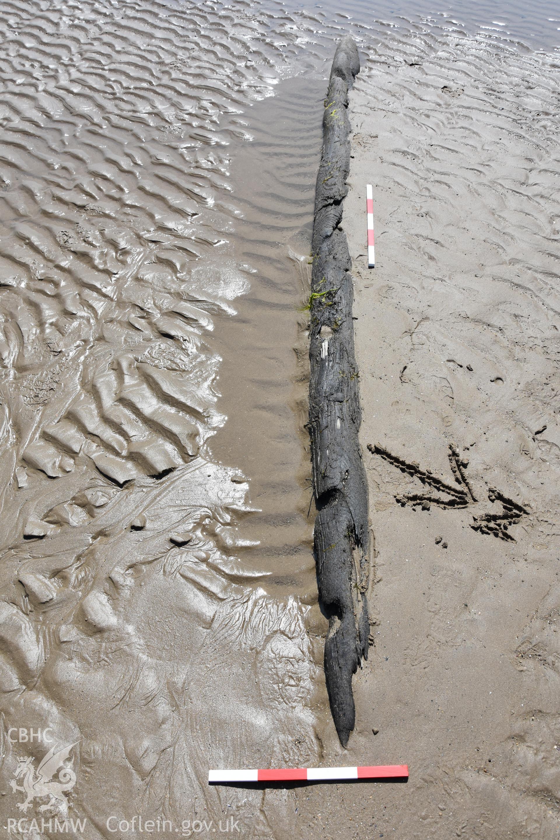 Wood on beach at Dinas Dinlle photographed with 2 x 0.5m scales and north arrow. Photograph taken by Daniel Hunt in June 2018 as part of repeat monitoring and survey by the CHERISH project. © Crown: CHERISH PROJECT 2018 Produced with EU funds through the Ireland Wales Co-operation Programme 2014-2023. All material made freely available through the Open Government Licence.