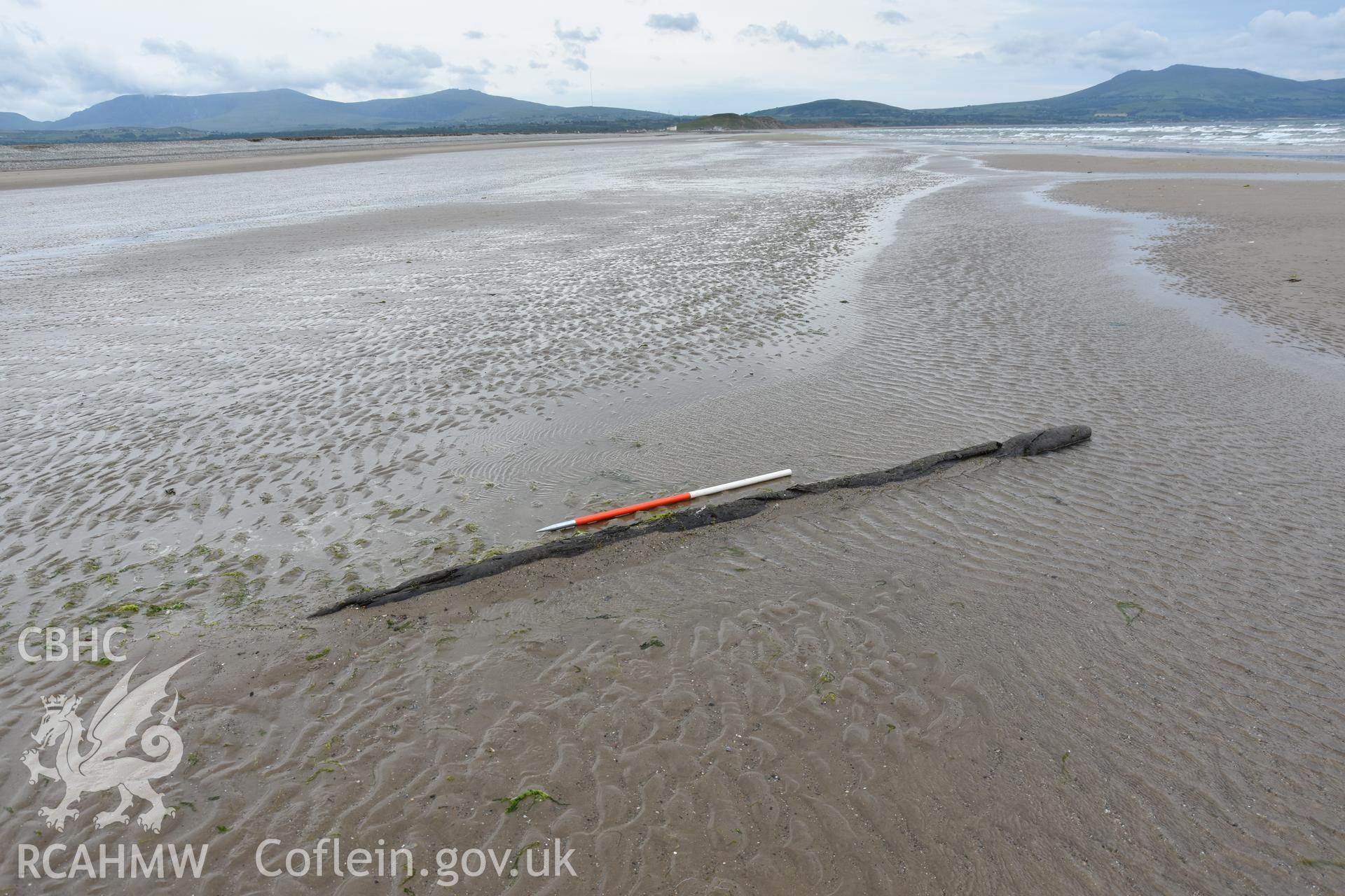 Wood on beach at Dinas Dinlle photographed with 1m scale. Photograph taken by Daniel Hunt in June 2018 as part of repeat monitoring and survey by the CHERISH project. © Crown: CHERISH PROJECT 2018 Produced with EU funds through the Ireland Wales Co-operation Programme 2014-2023. All material made freely available through the Open Government Licence.