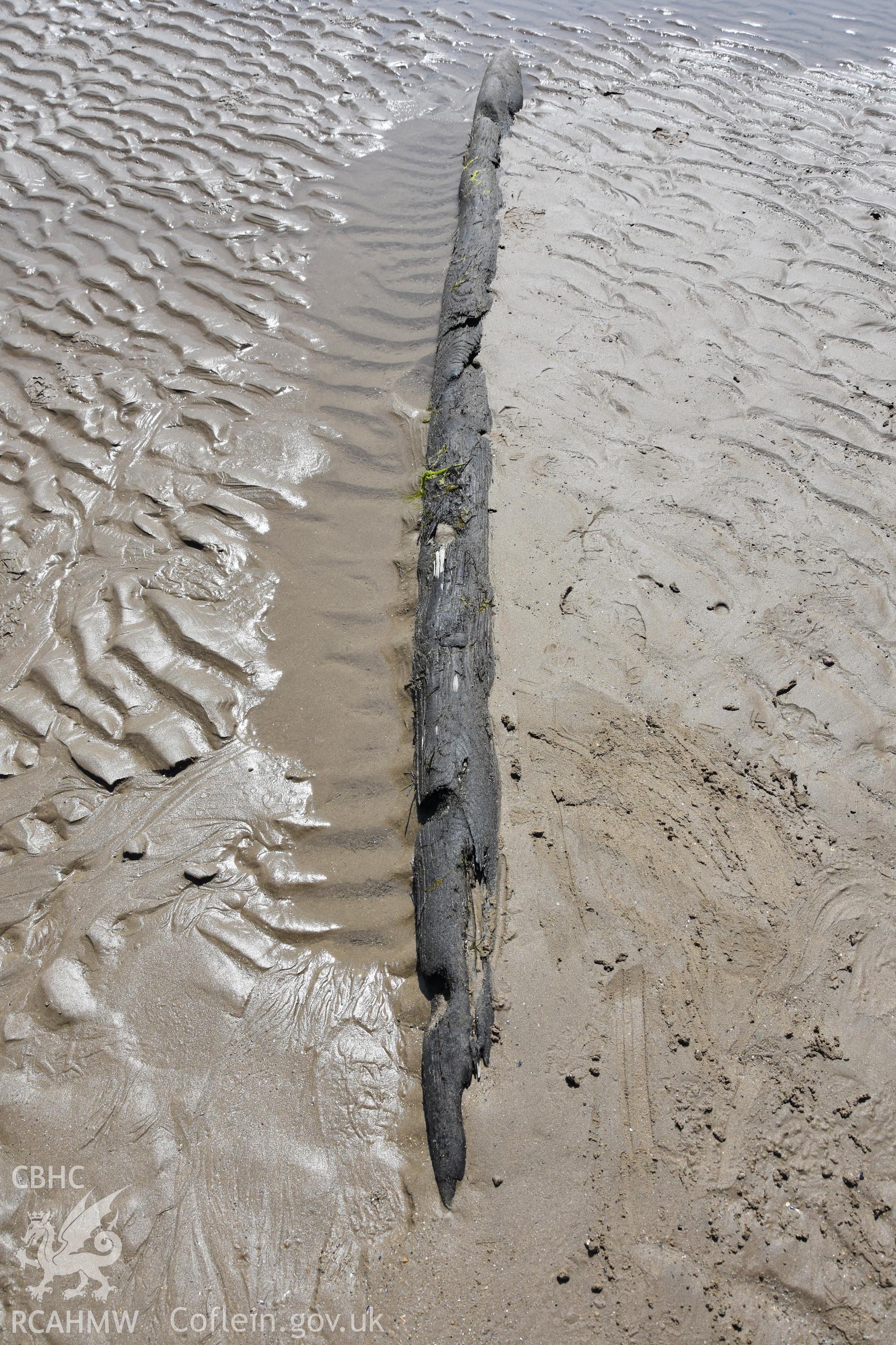 Wood on beach at Dinas Dinlle photographed with no scale. Photograph taken by Daniel Hunt in June 2018 as part of repeat monitoring and survey by the CHERISH project. © Crown: CHERISH PROJECT 2018 Produced with EU funds through the Ireland Wales Co-operation Programme 2014-2023. All material made freely available through the Open Government Licence.