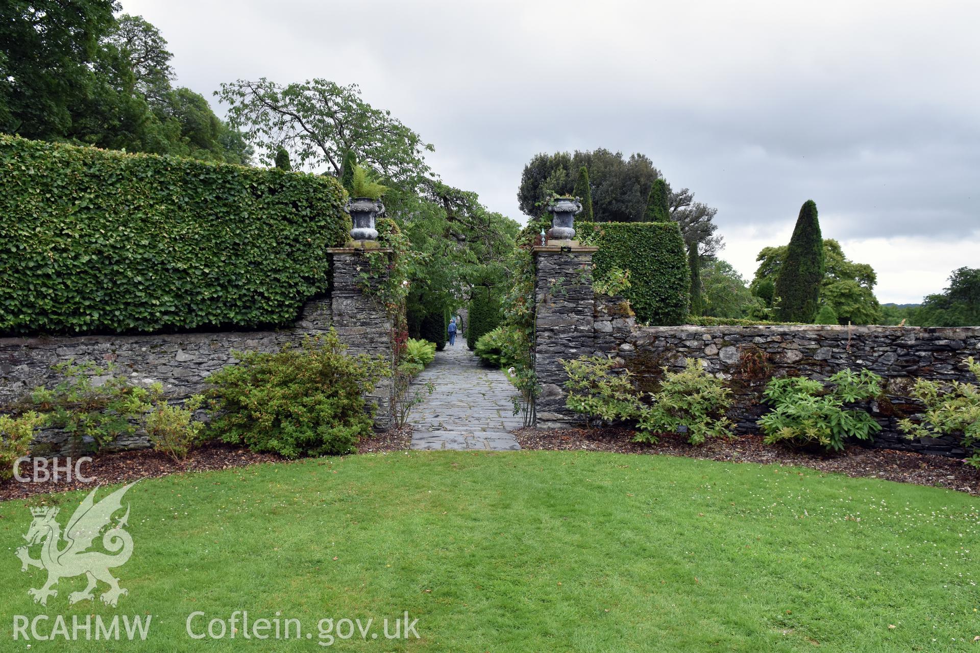 Plas Brondanw Garden; terraced walk Taken by Susan Fielding.