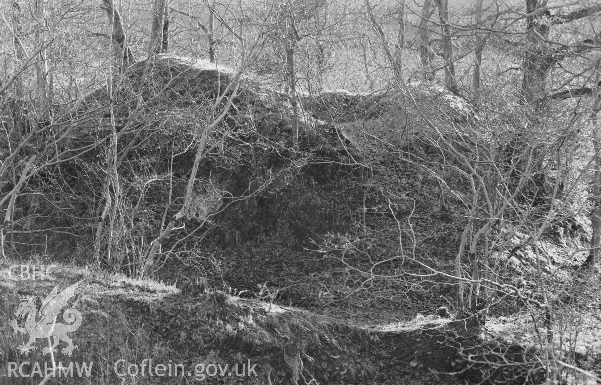 Digital copy of a black and white negative showing Castell Peithyll motte. Photographed by Arthur Chater on 5 January 1969. Looking south south east from Grid Reference SN 6530 8246.