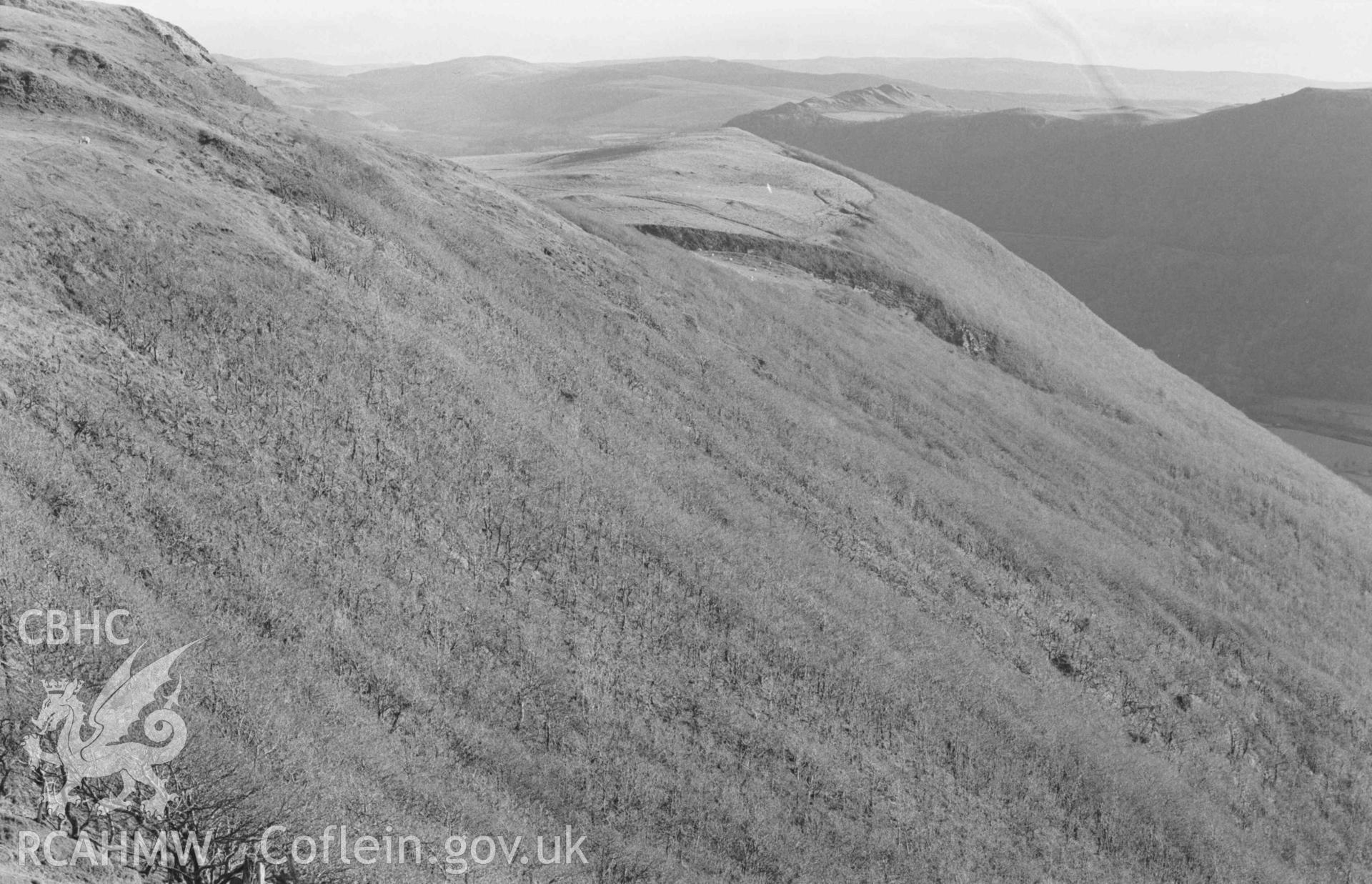 Digital copy of a black and white negative showing oakwoods on the north slope of the Rheidol valley below Castell Bwa Drain (further part, beyond the Nant Bwa-Drain gulley, is called Coed Simdde-Lwyd). Photographed by Arthur Chater on 5 January 1969. Looking south east from Grid Reference SN 7105 7963.