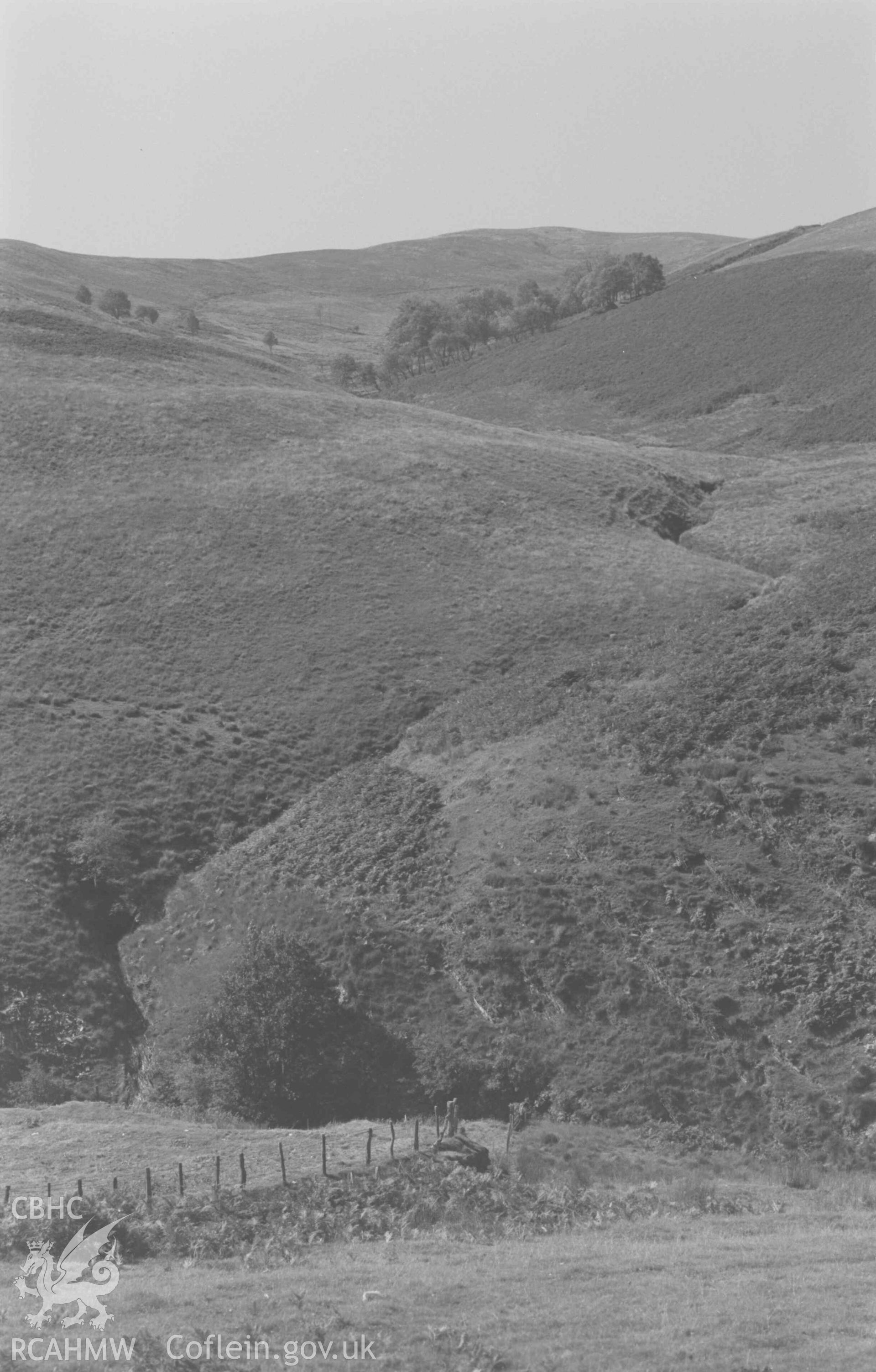 Digital copy of a black and white negative showing view up Nant Coll from 1062ft point on old road on the north side of Doethie Fawr; ruins of Cola farm in the trees. Photographed by Arthur Chater on 26 August 1968. Looking south west from Grid Reference SN 749 535.