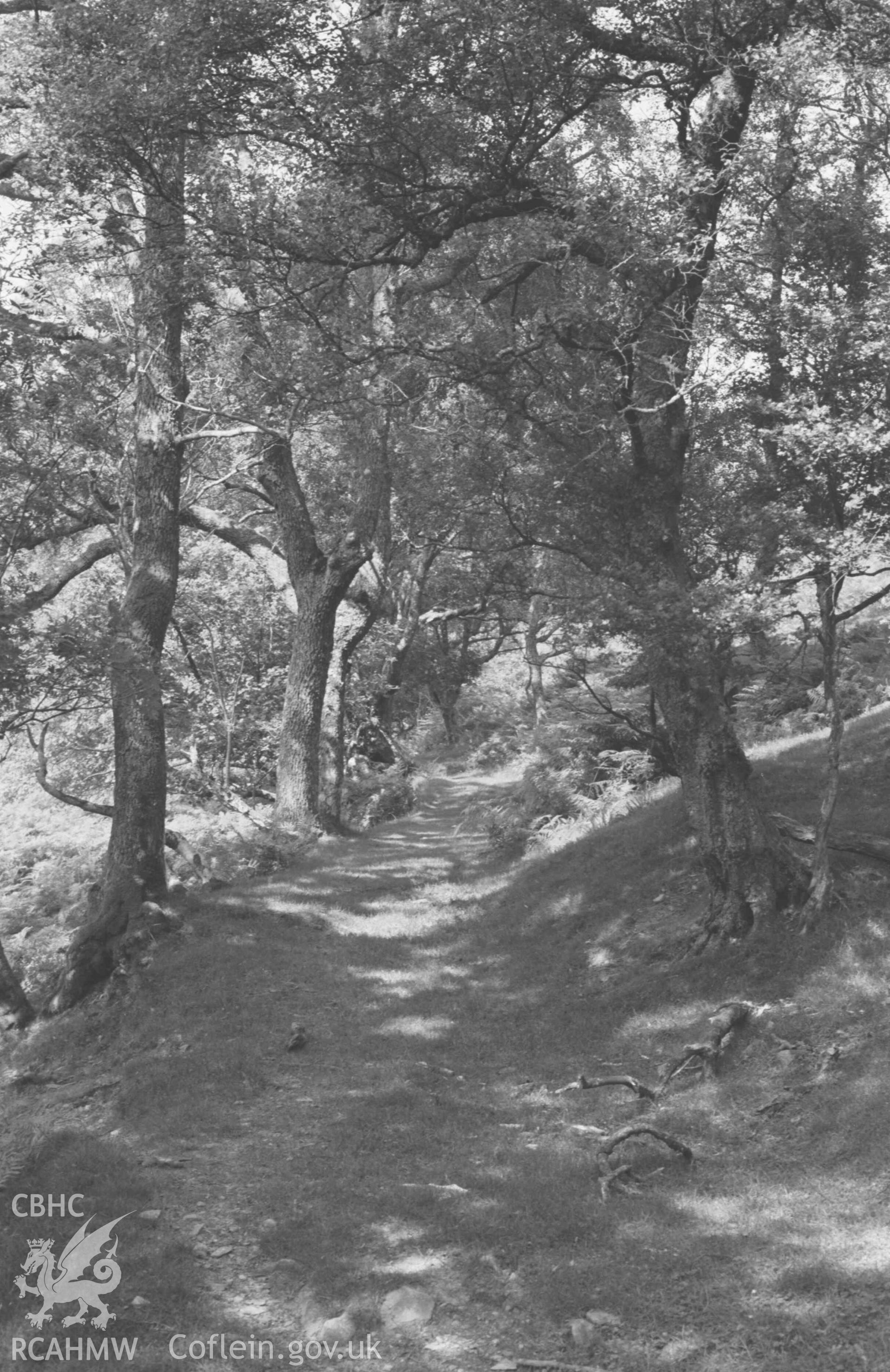 Digital copy of a black and white negative showing view along the footpath 300m south east of Dinas. Photographed by Arthur Chater on 26 August 1968. Looking north from Grid Reference SN 768 519.