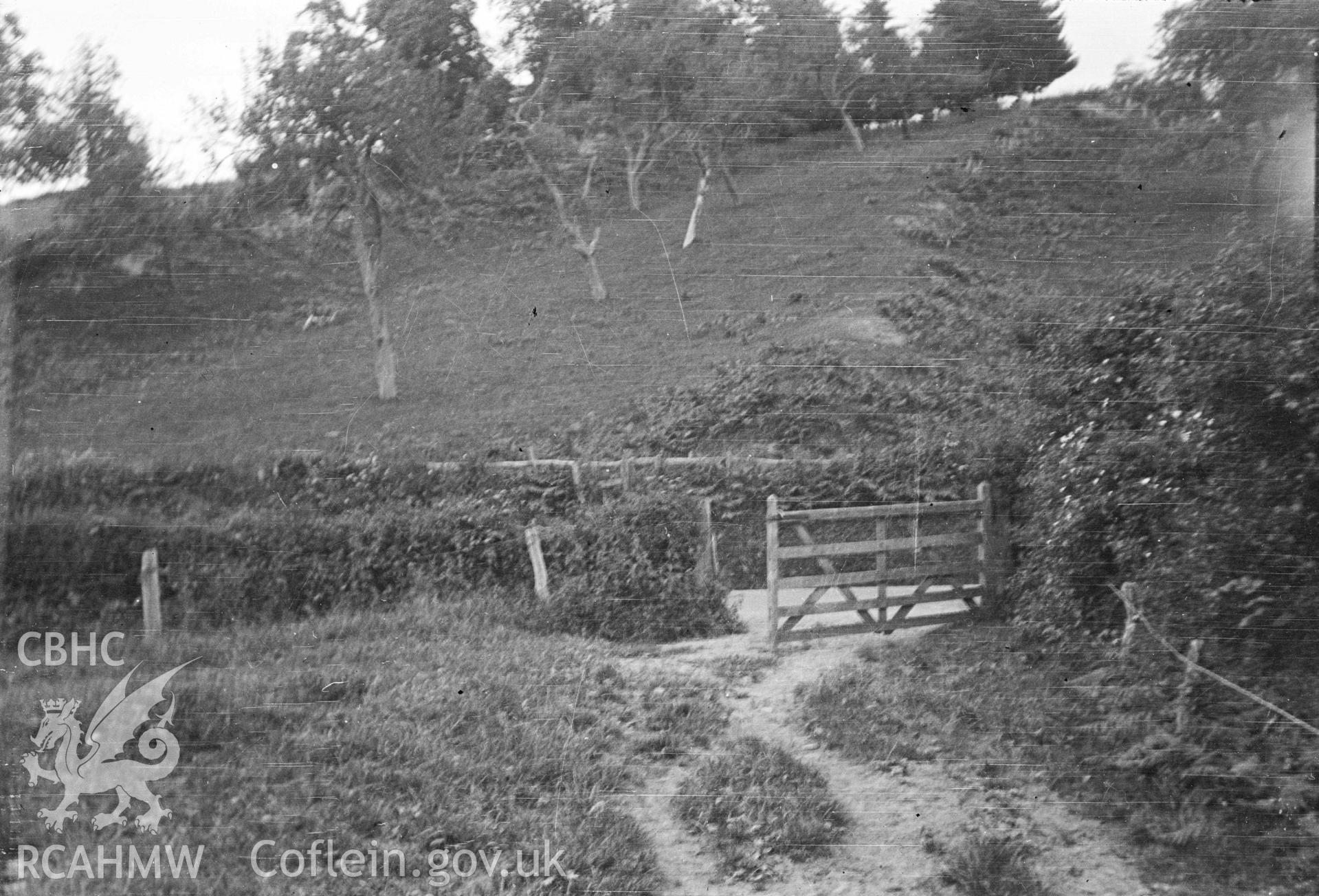 Digital copy of a nitrate negative showing Aber Bechan Dyke.