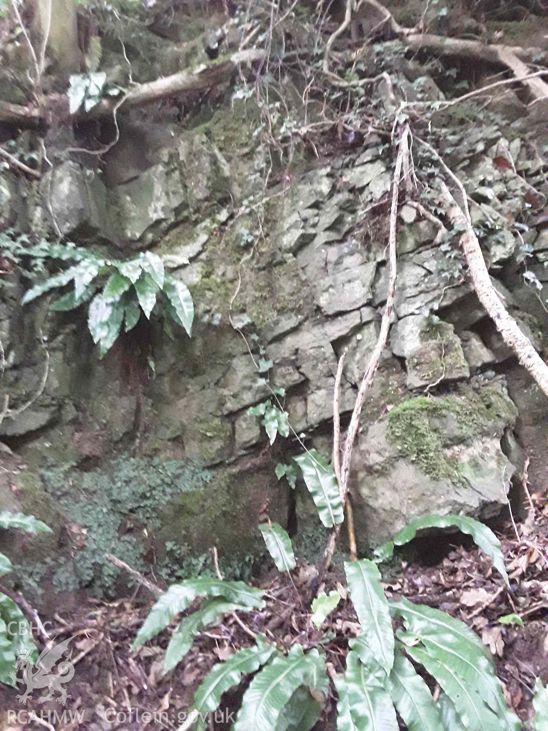 Colour photograph showing Trinity Well, Gaerfawr, near Guilsfield, taken in 2021.