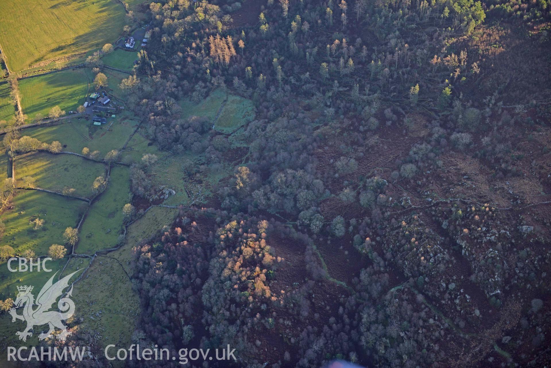 Oblique aerial photograph of Llwyn Bedw taken during the Royal Commission