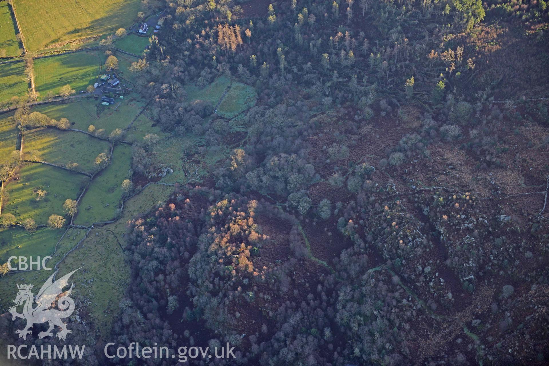 Oblique aerial photograph of Llwyn Bedw taken during the Royal Commission