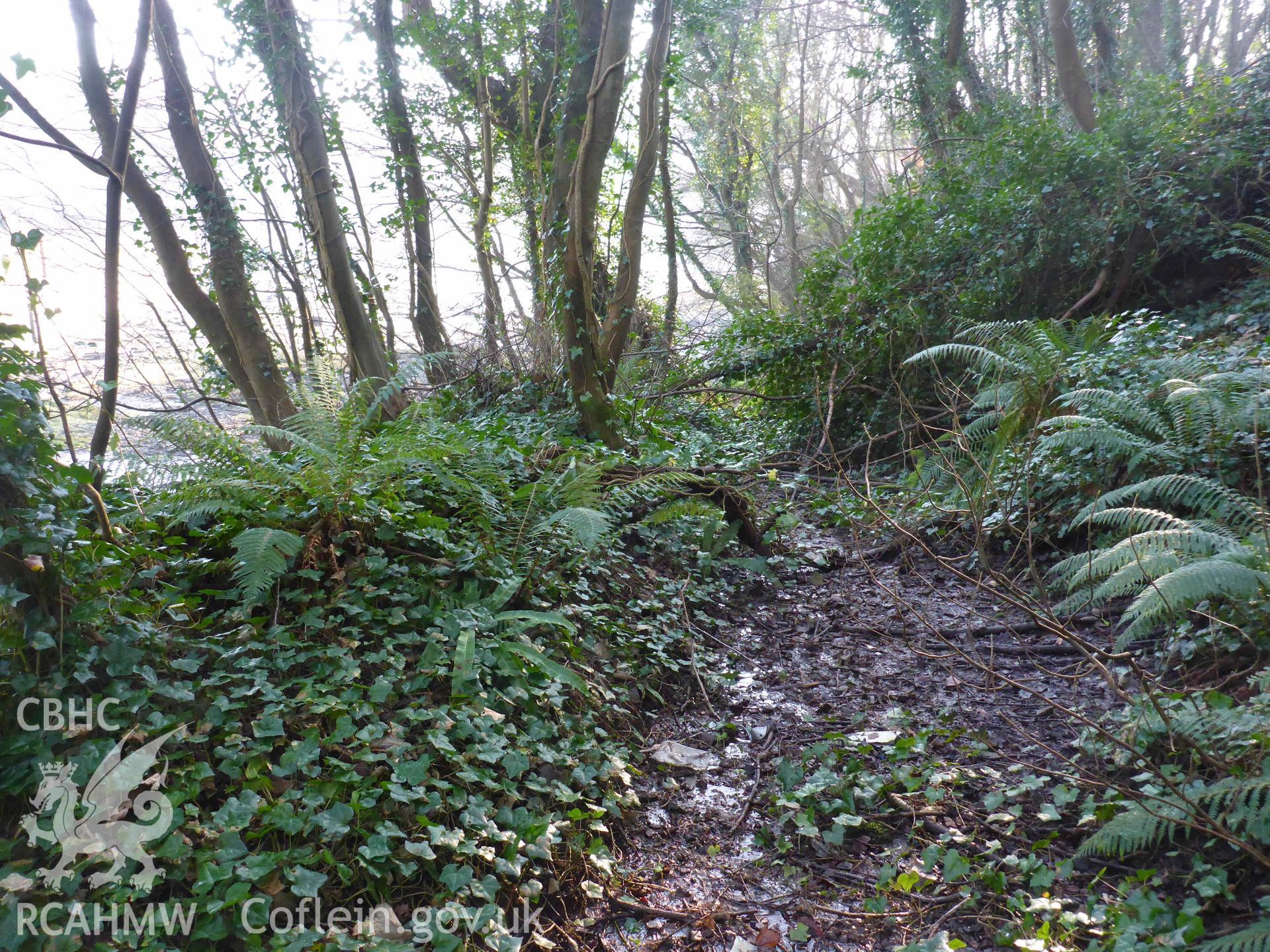 Castle Pill Lime Kiln, view looking south, down the access ramp, towards Castle Pill.