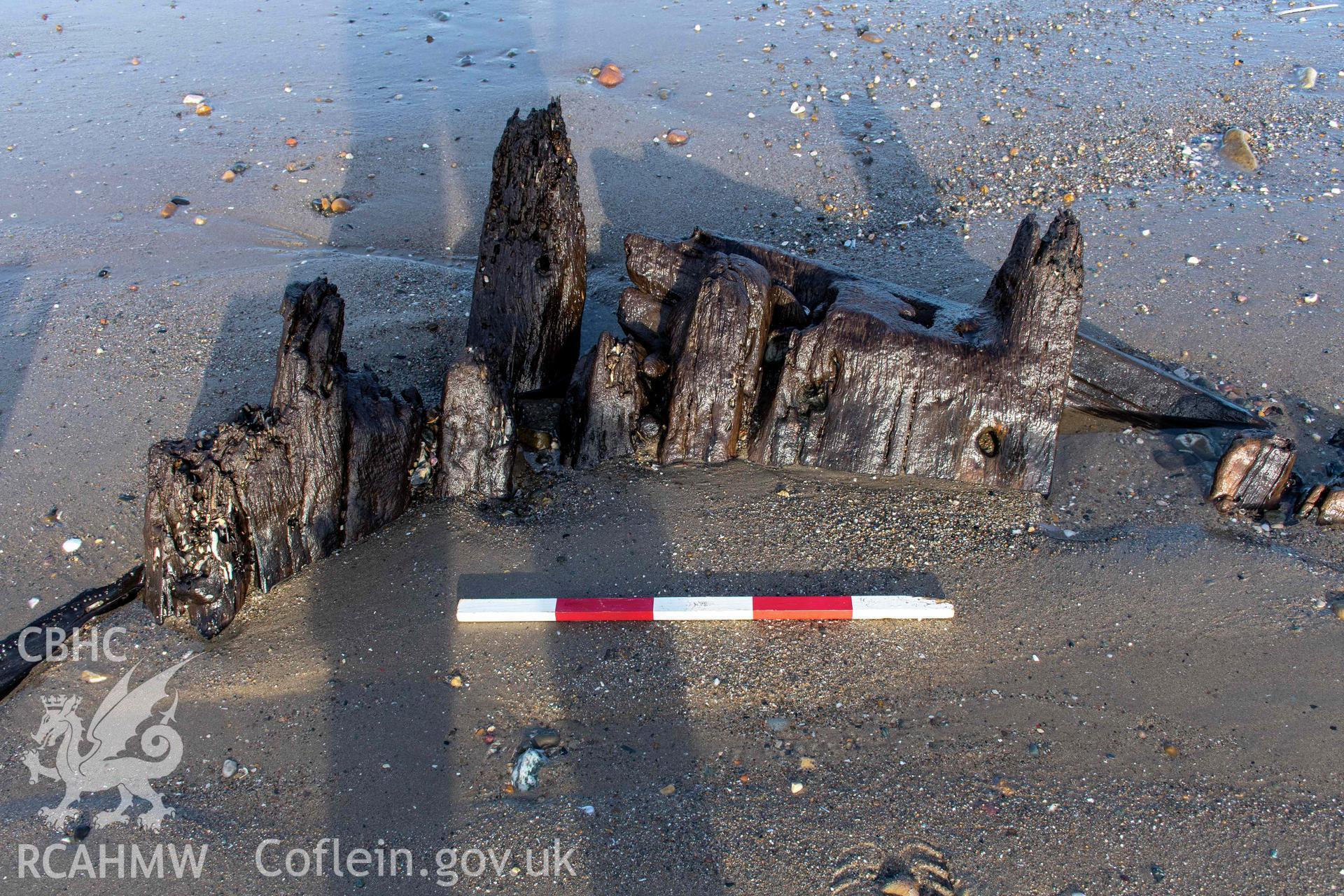 Stern futtocks (with scale).