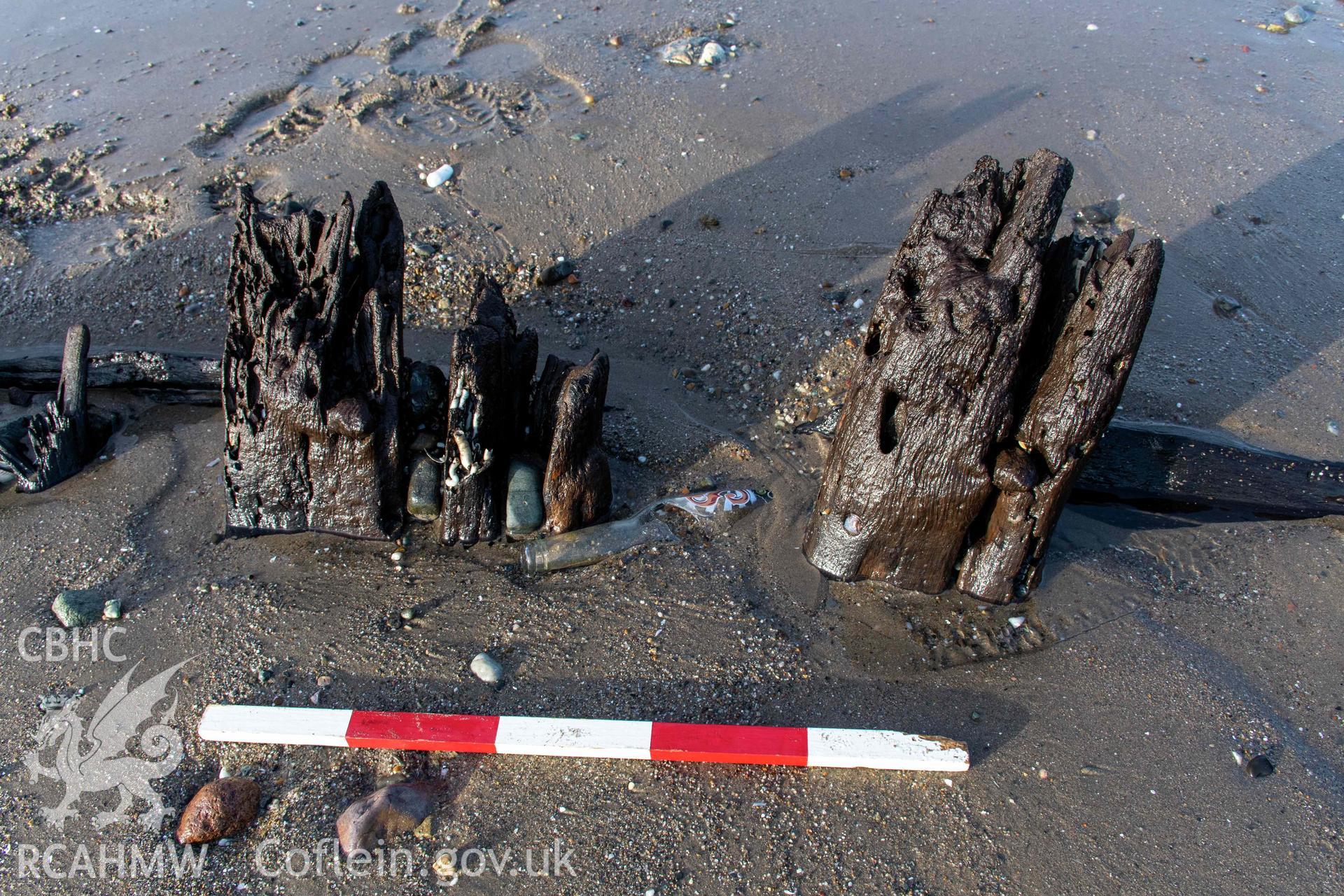Stern futtocks (with scale).