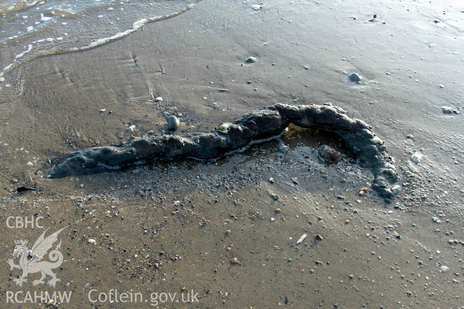 Detail of anchor chain to the west of the vessel.
