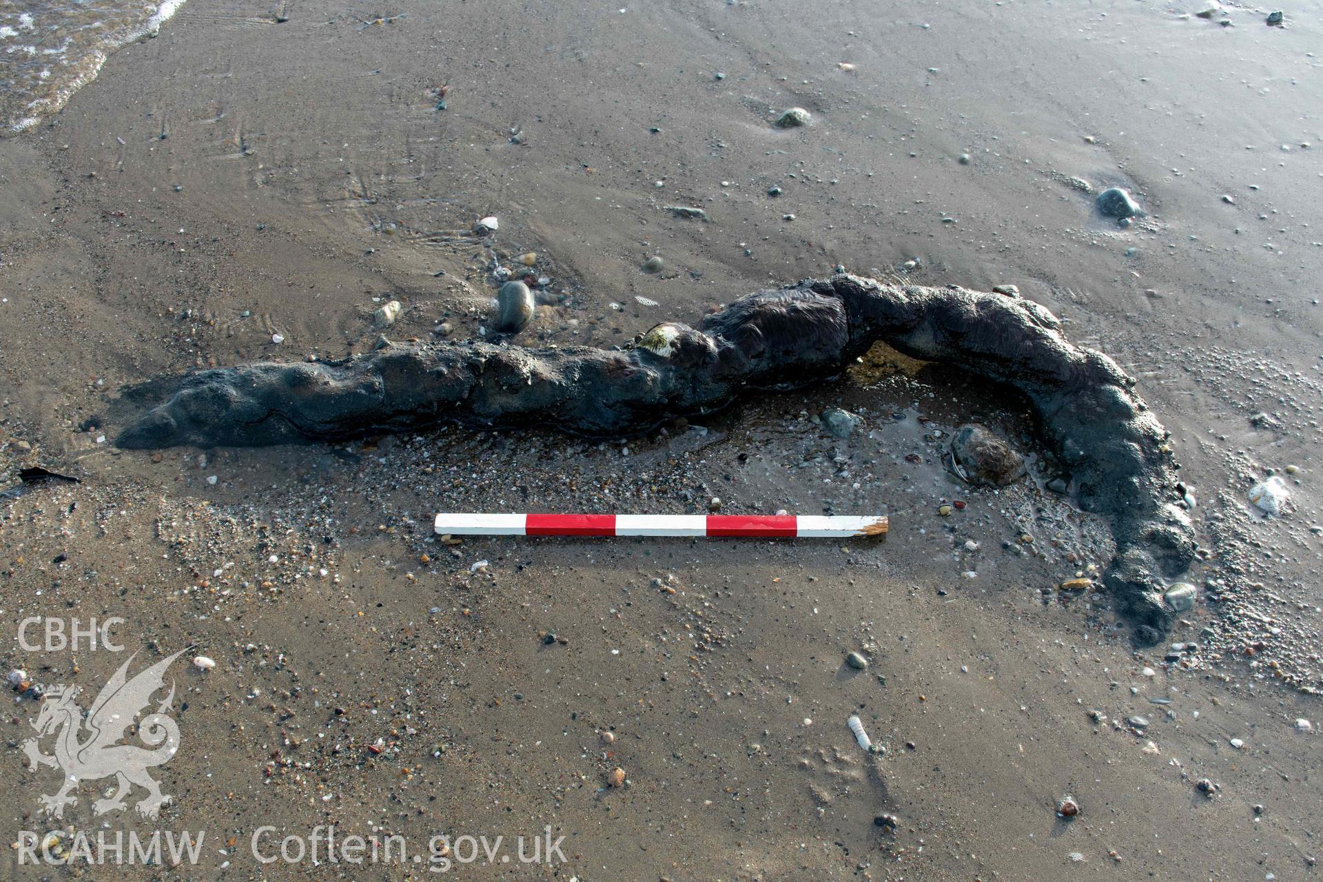 Detail of anchor chain to the west of the vessel (with scale).