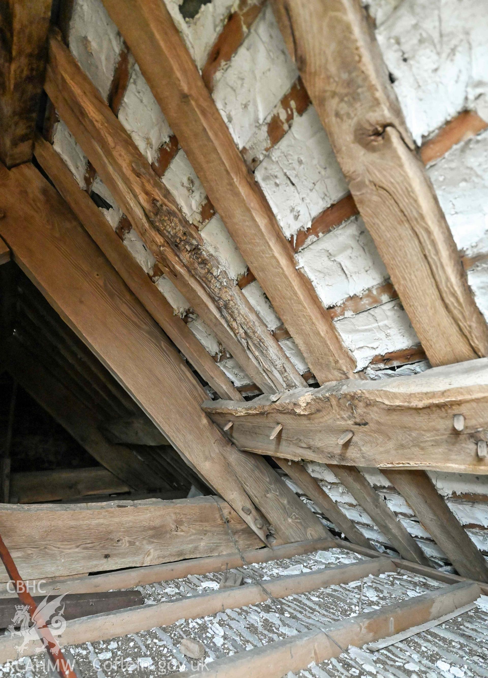 Tyddyn Mawr, interior roof detail of upper purlin and rafters.