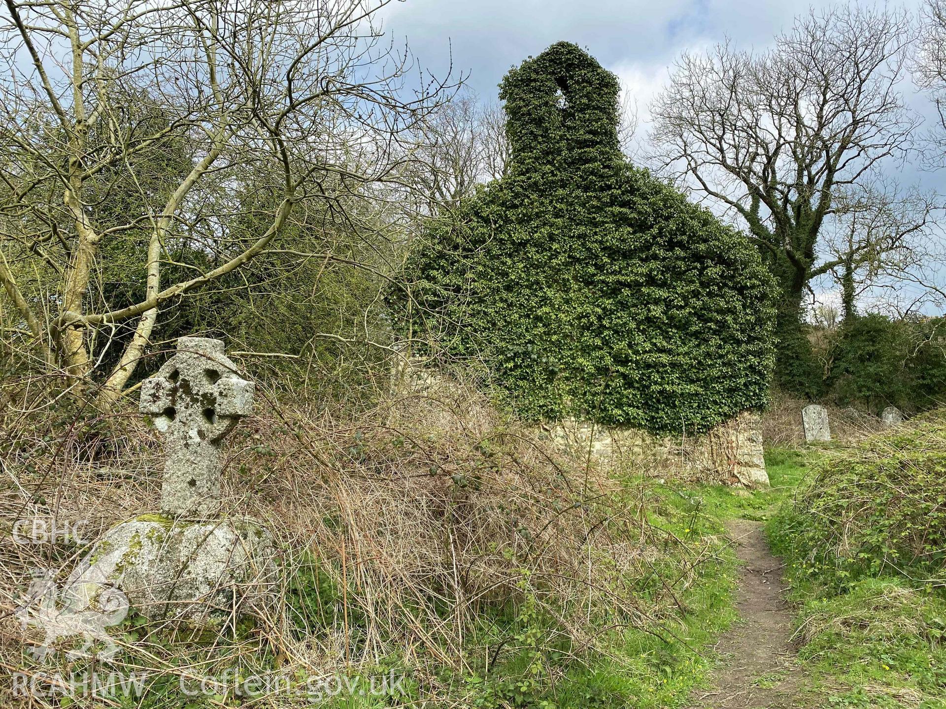 Digital photograph showing ivy covered stone wall of St Justinian's Church, Llanstinian, produced by Paul Davis in 2020