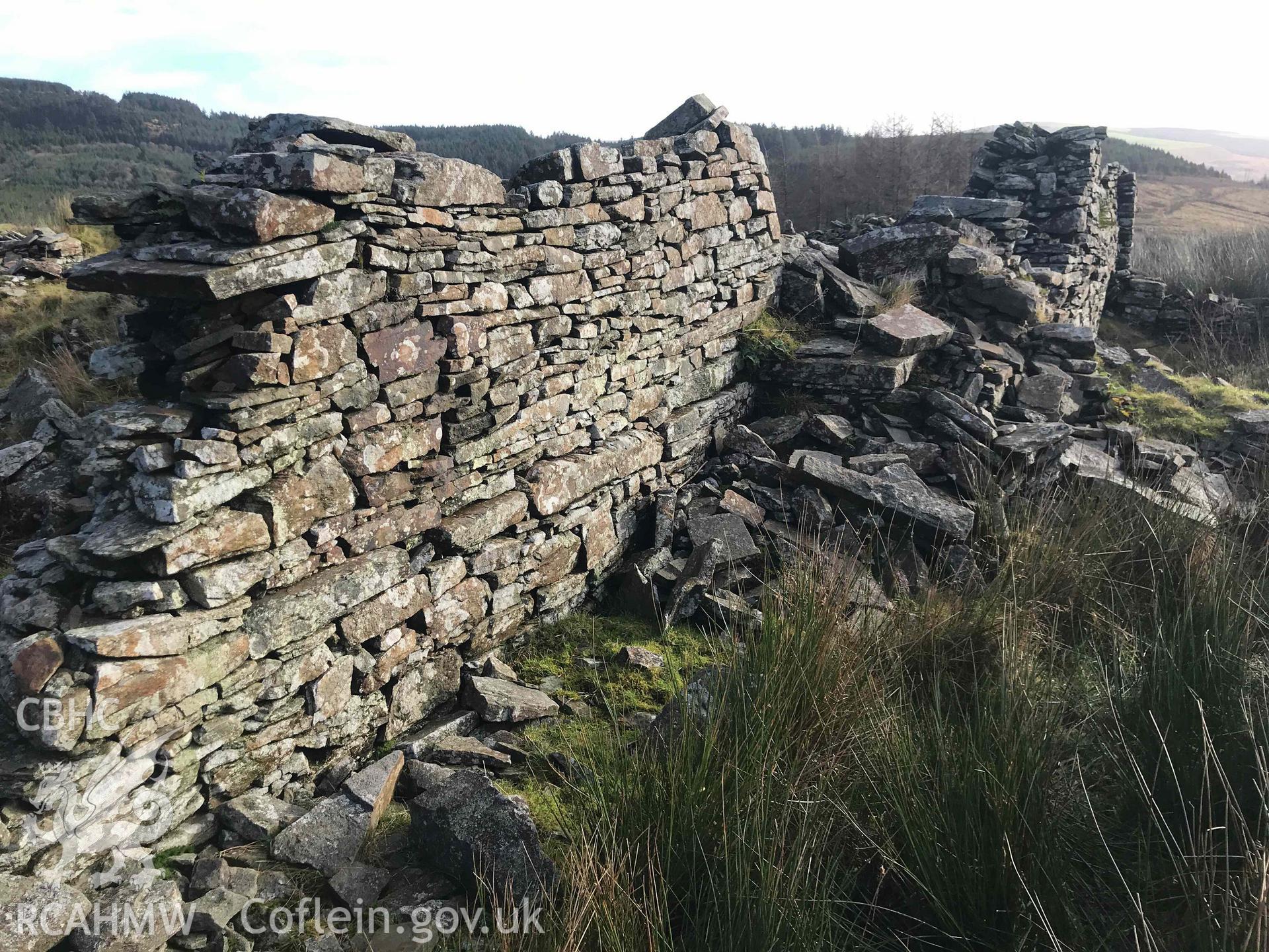 Digital photograph showing the ruins of the cowshed at Ton Mawr, produced by Paul Davis in 2020