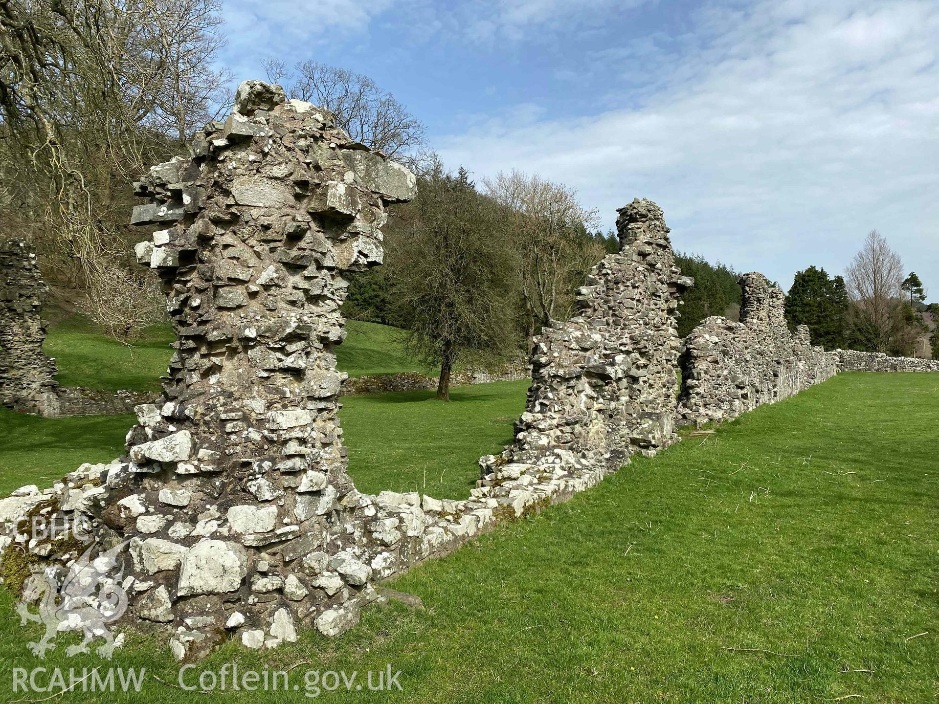 Digital photograph showing detailed view of wall at Abbey Cwmhir. Produced by Paul Davis in 2020