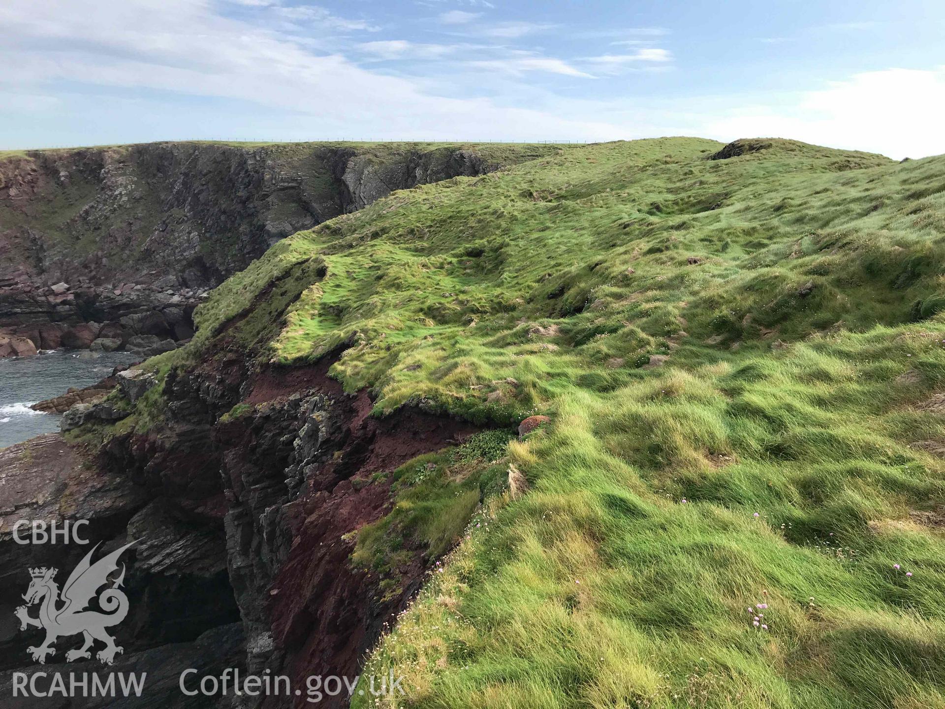 Digital photograph of remains of lower terrace on north side of Sheep Island, Pembrokeshire, produced by Paul Davis in 2020