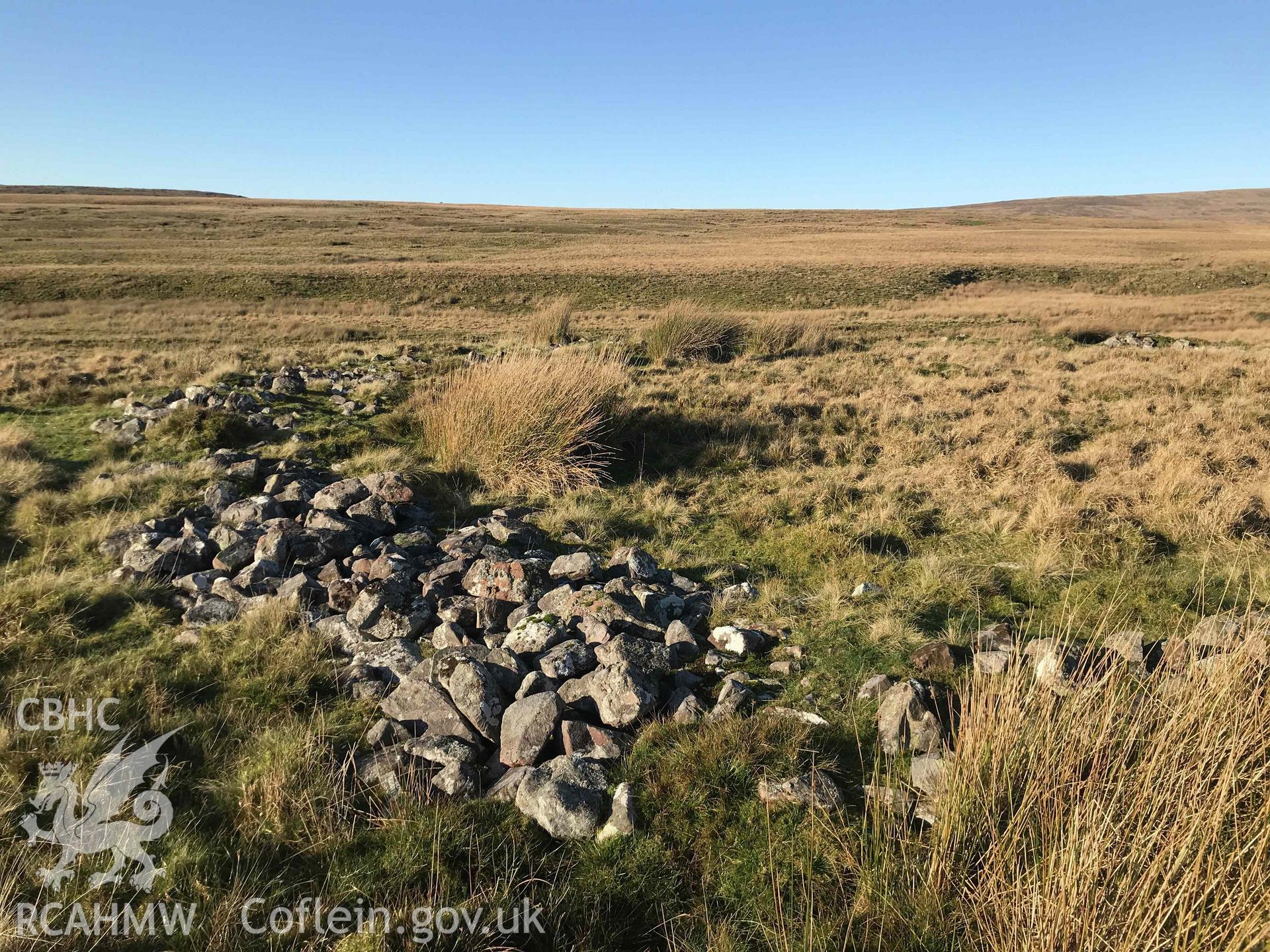 Digital photograph showing detailed view of remains of stone wall at Afon Hepste settlement enclosure, produced by Paul Davis in 2020